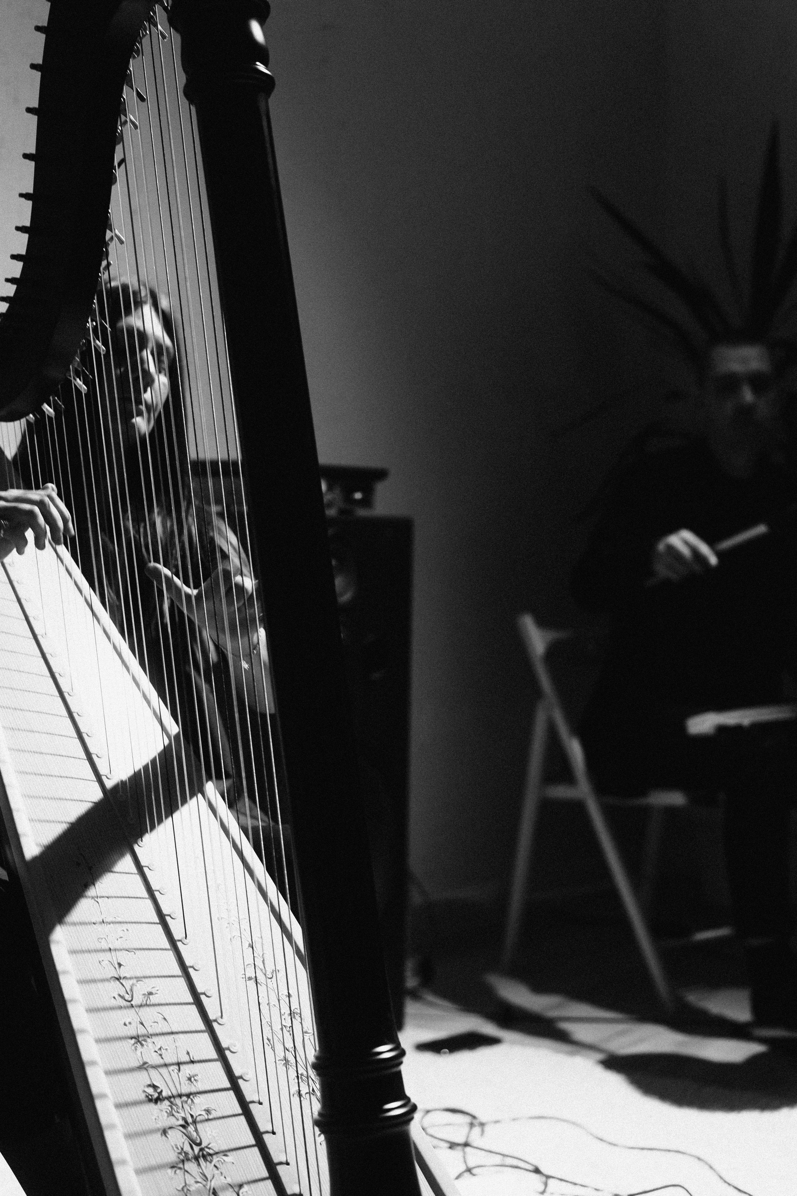 Арфовый дом. Veronika Popadeikina Photographer