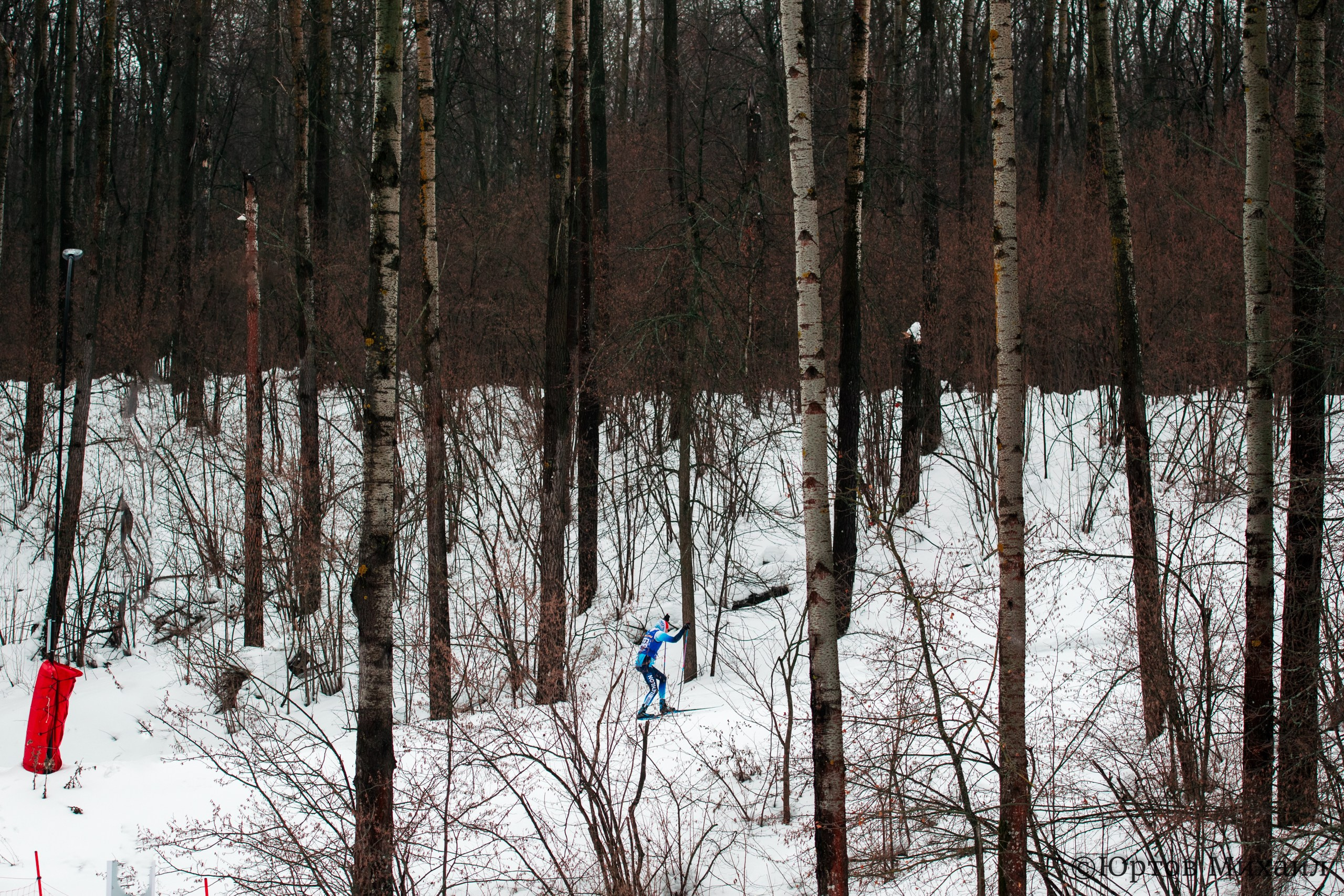 Лыжи. Спортивный фотограф Михаил Юртов