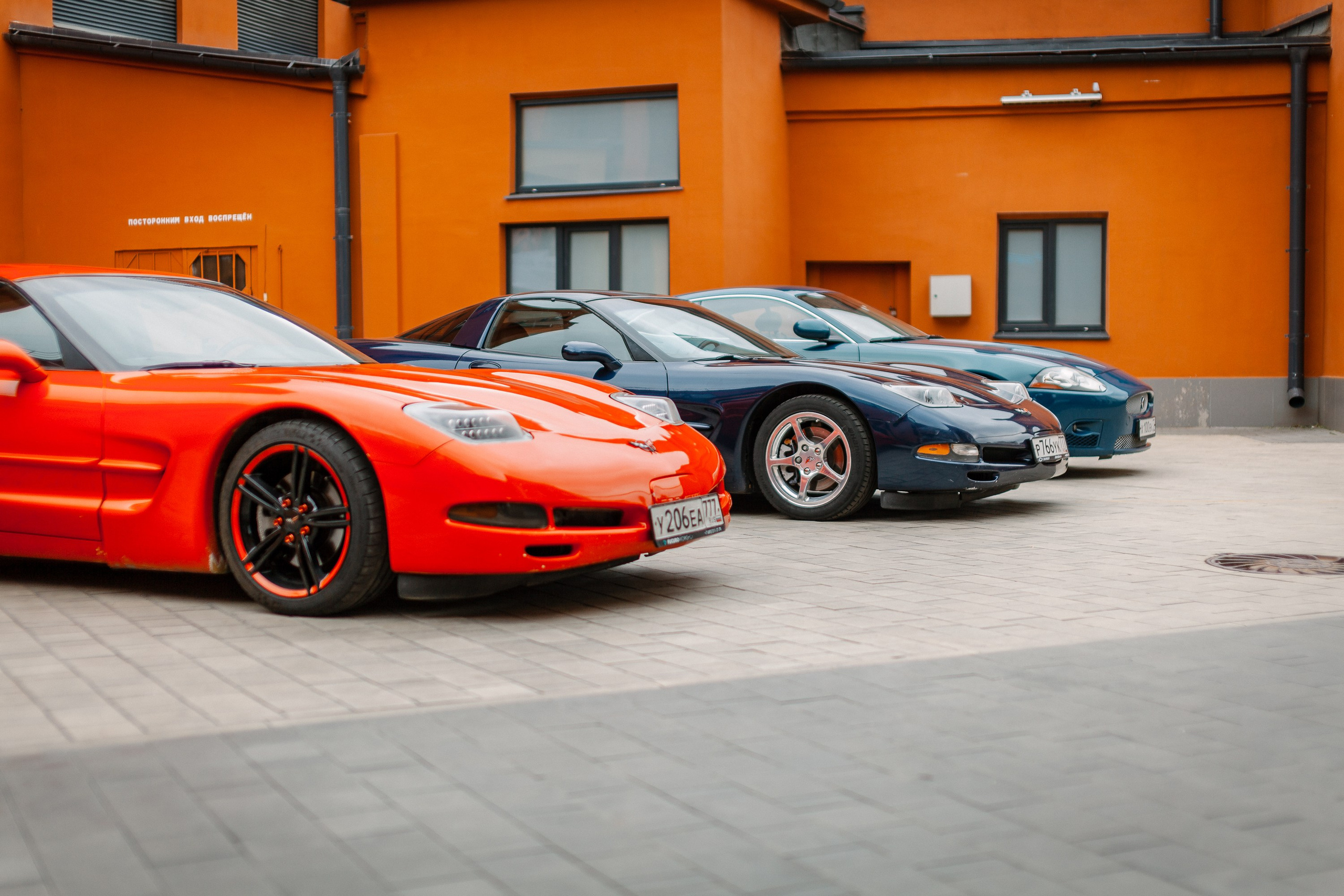 Листва. Алексей Никифоров фотограф Москва, Химки