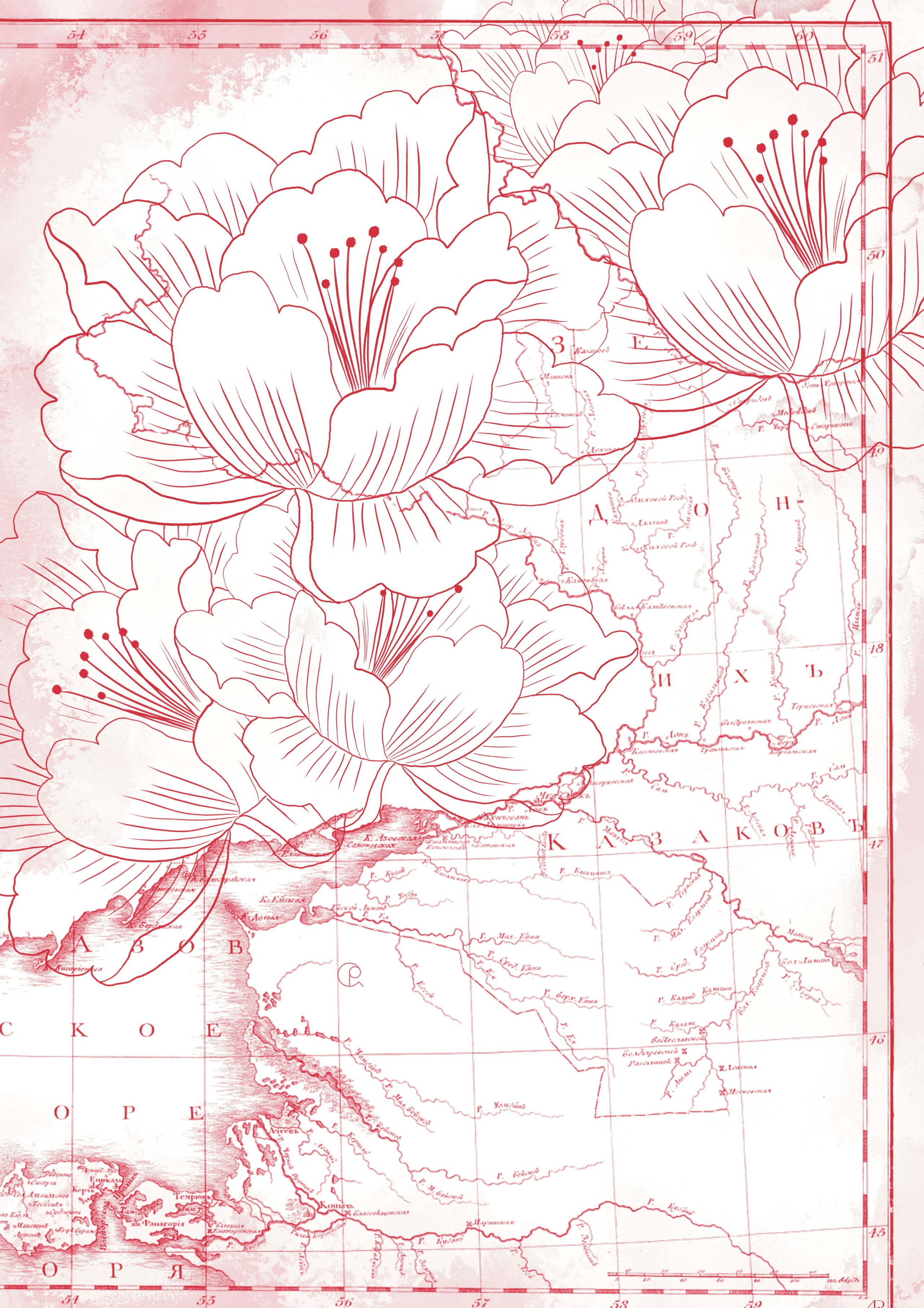 Контурный рисунок. Алена Русских — фотограф и графический дизайнер в Ростове-на-дону