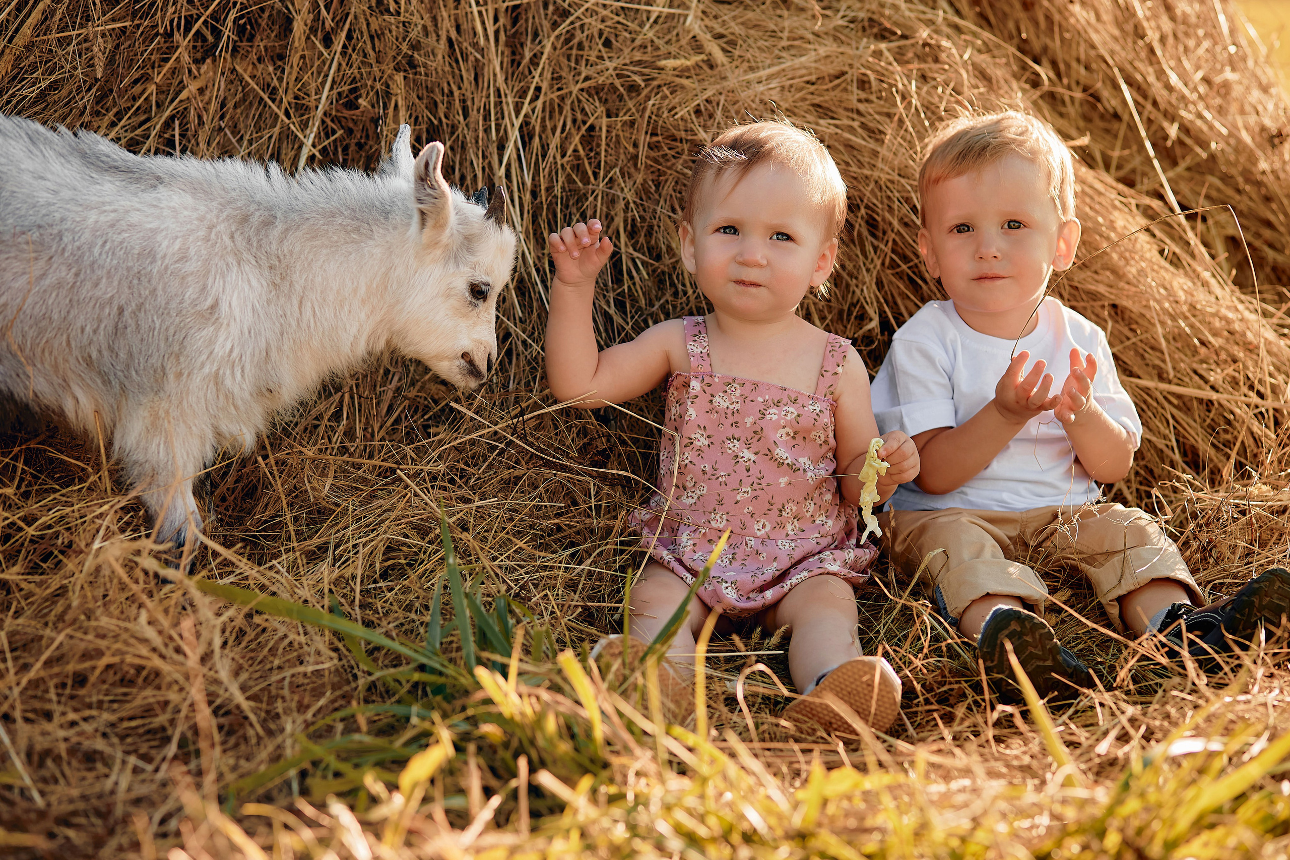 Андрей, Катя, Дима и Настя. Свадебный фотограф Чайковский