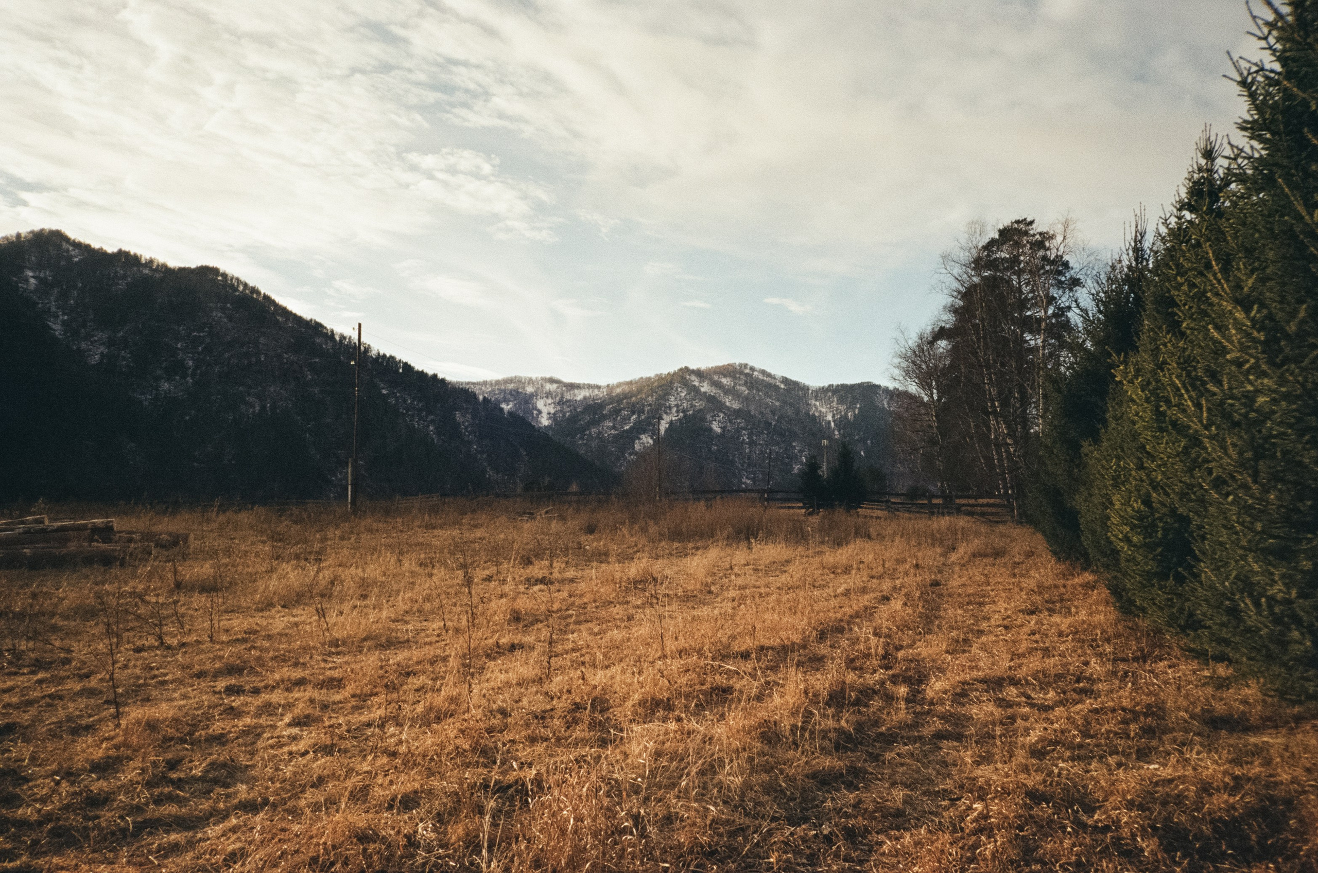 От Кызыл-Таша до Чемала. Техас, горы, поля и коровы. Фотограф-документалист Мария Осокина