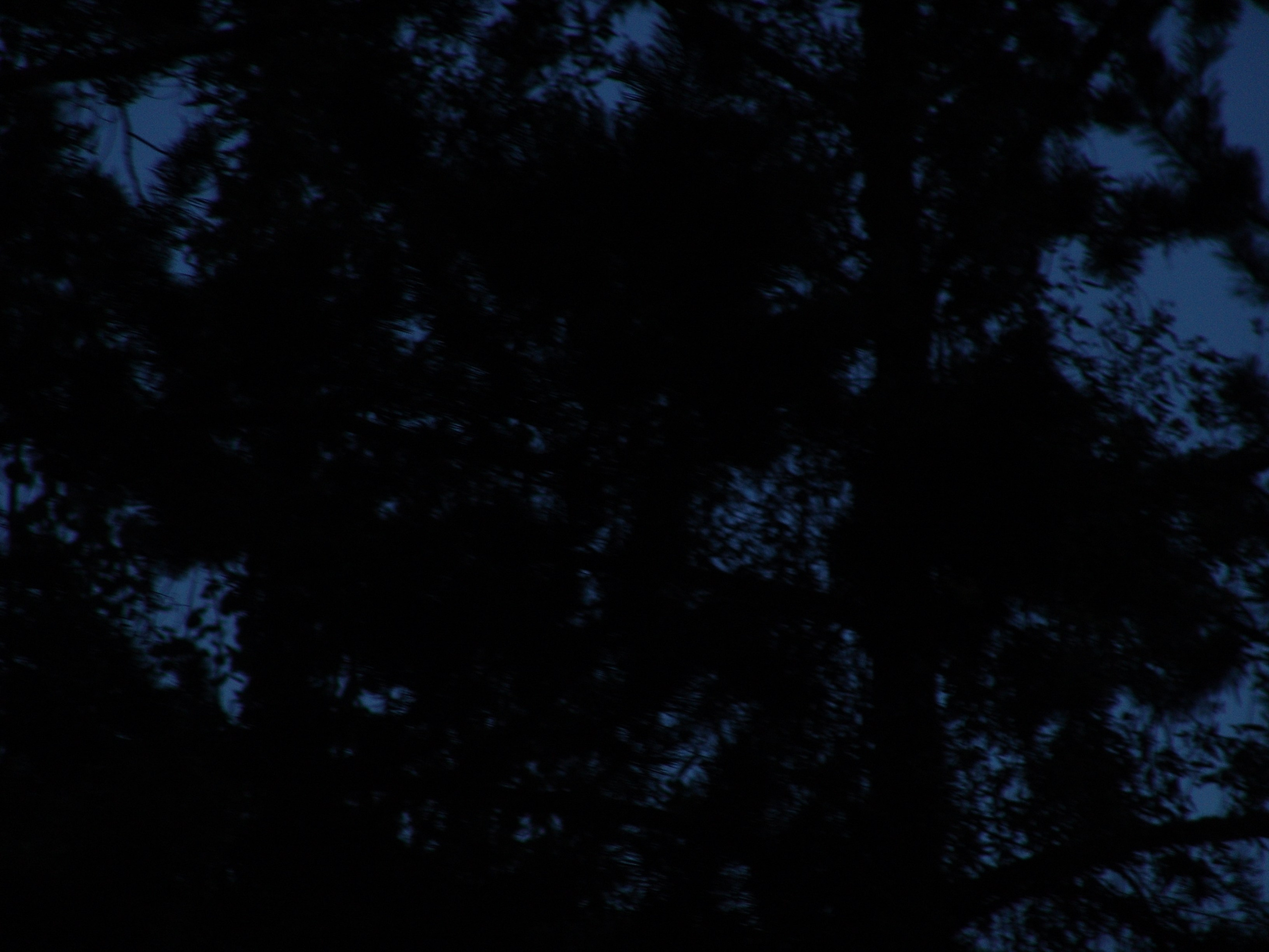 Ергали 11 08 2005. Заставка