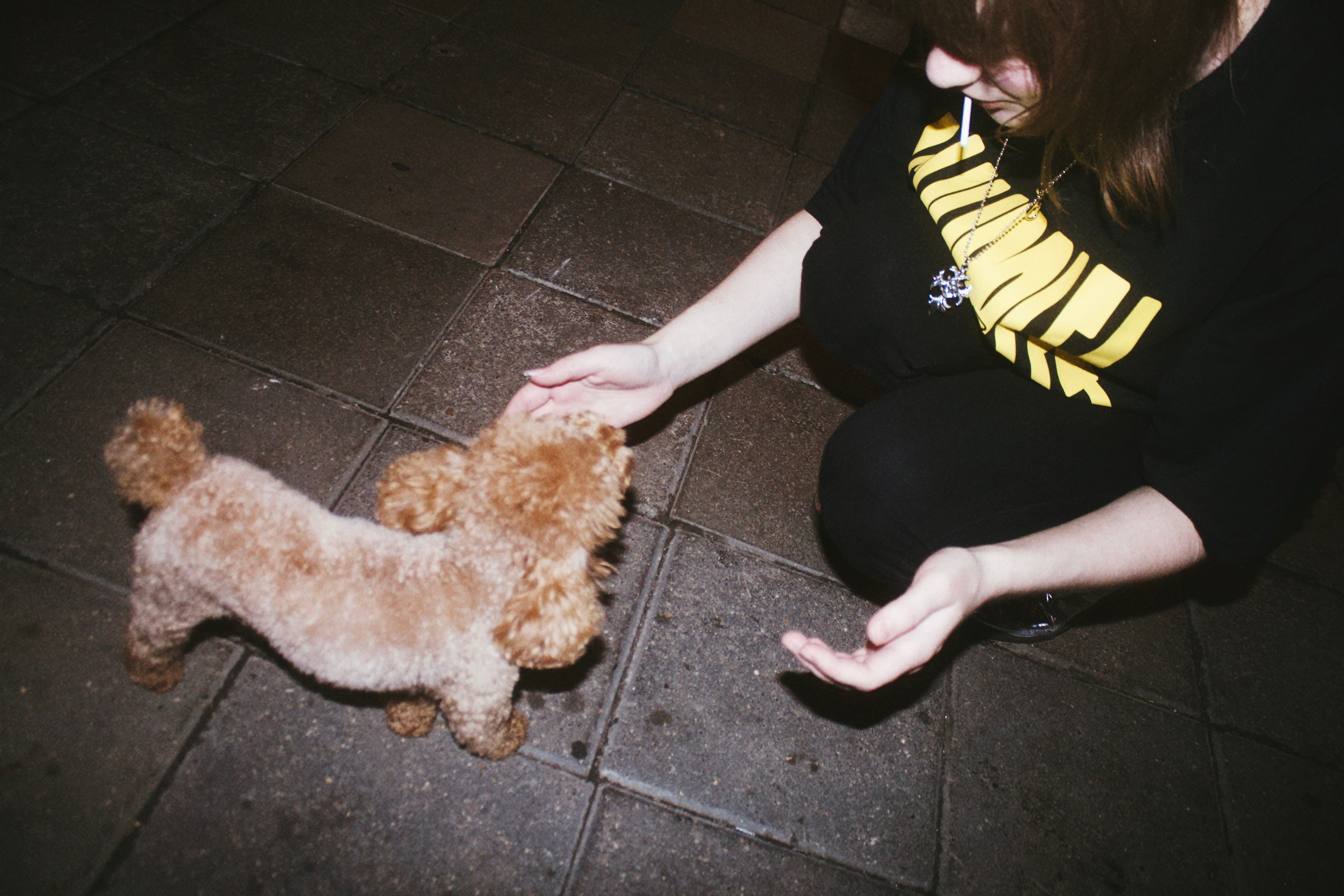 Съемка мерча MASHUPBLE. Концертный и портретный фотограф в Москве Соня Спросонья