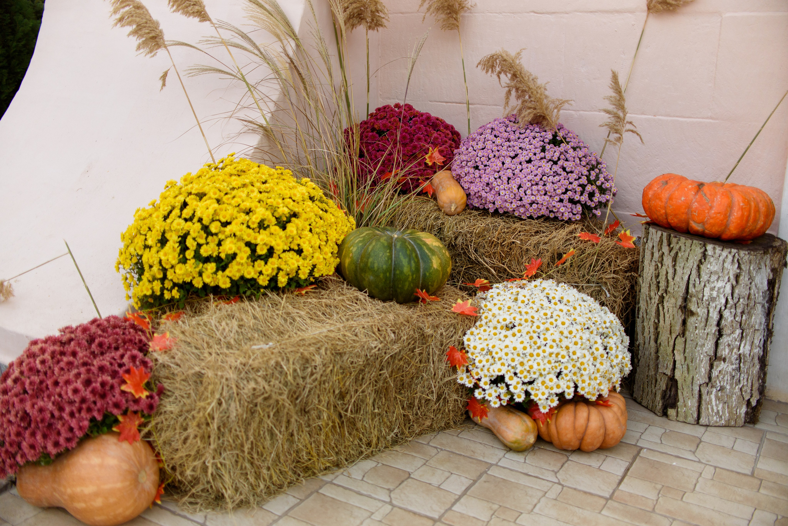 День памяти Казанской иконы Божьей Матери 4.11.2023. Семейный и свадебный фотограф в Феодосии и Коктебеле