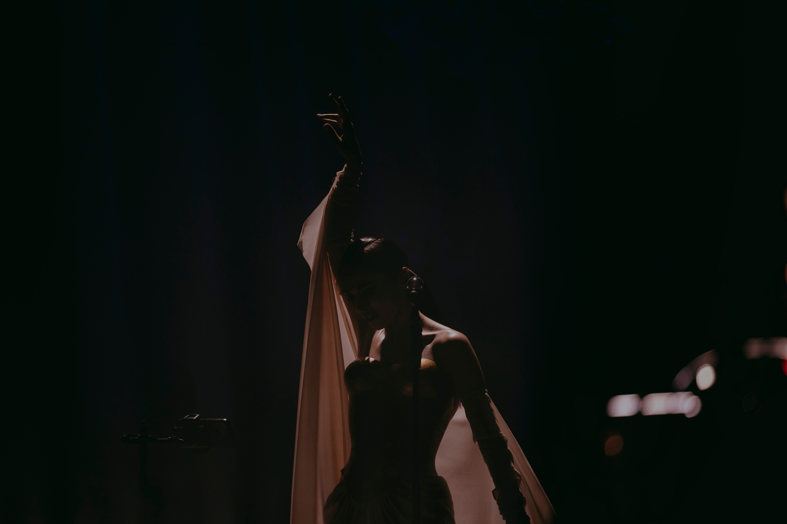 SATI ETHNICA, Crocus City Hall. «Птичка на проводе»: информационный портал в Москве