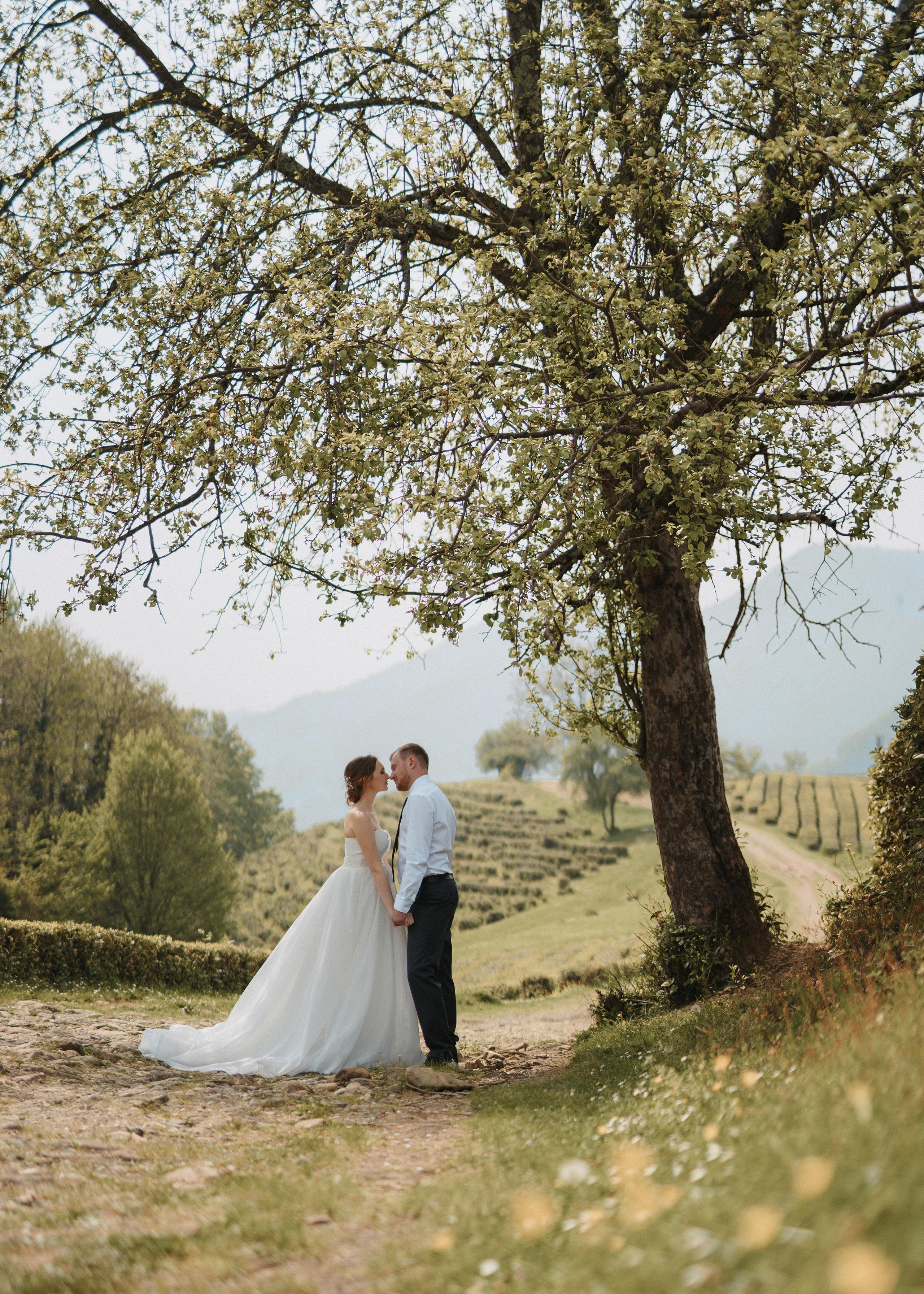 Свадьбы. Фотограф в Сочи Алина Арт