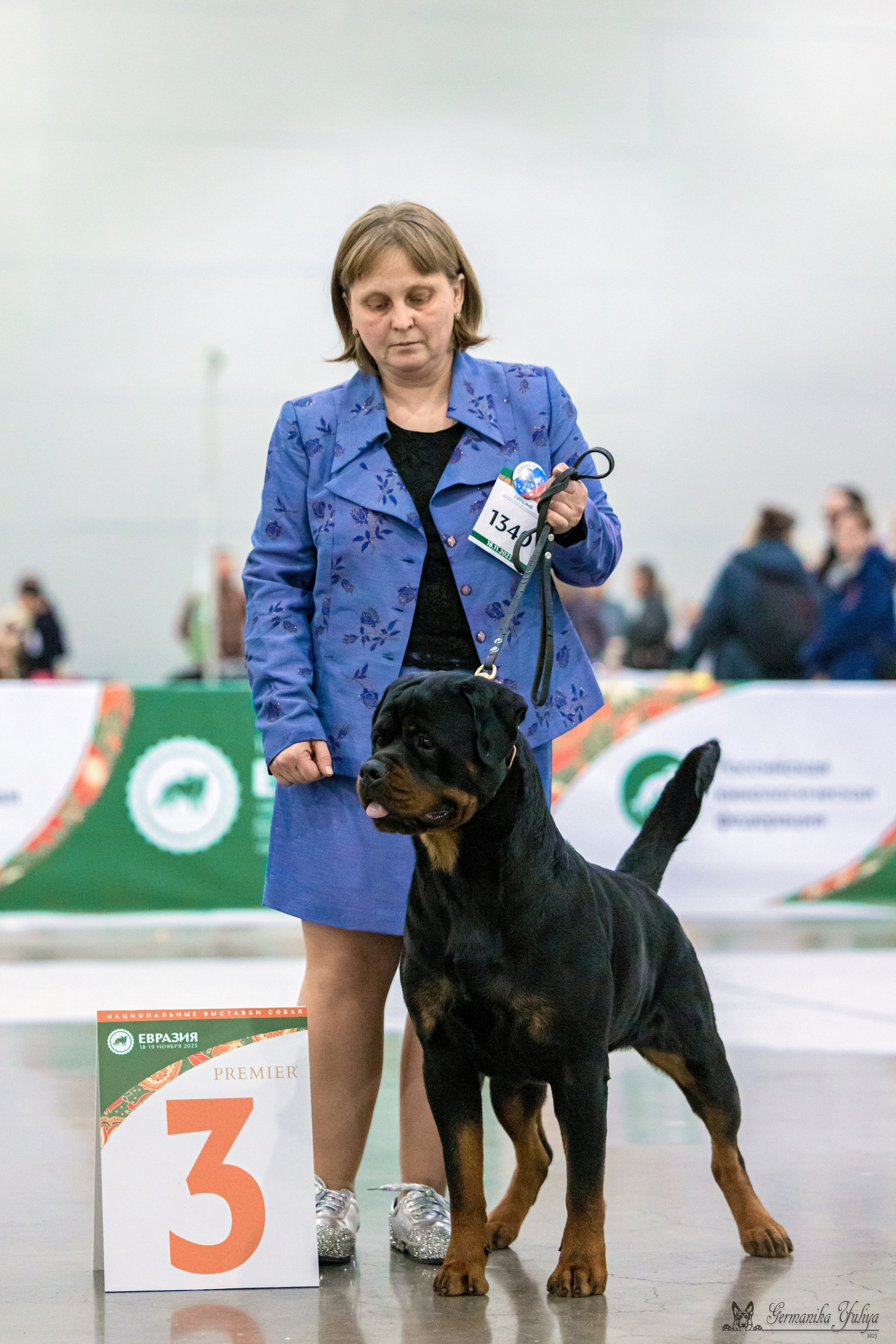 ЕВРАЗИЯ 18-19.11.2023. Фотограф-анималист Юлия Германика