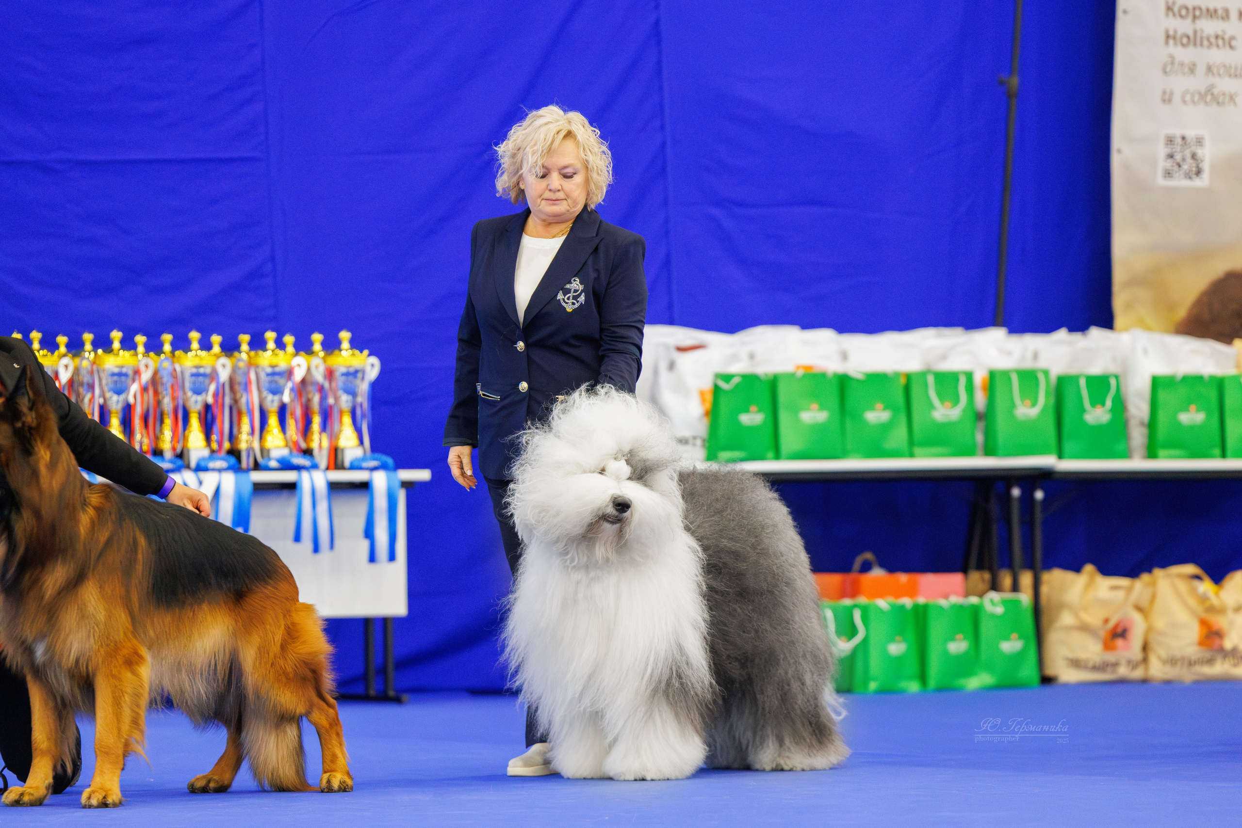 Питер 12-13.12.2025. Фотограф-анималист Юлия Германика