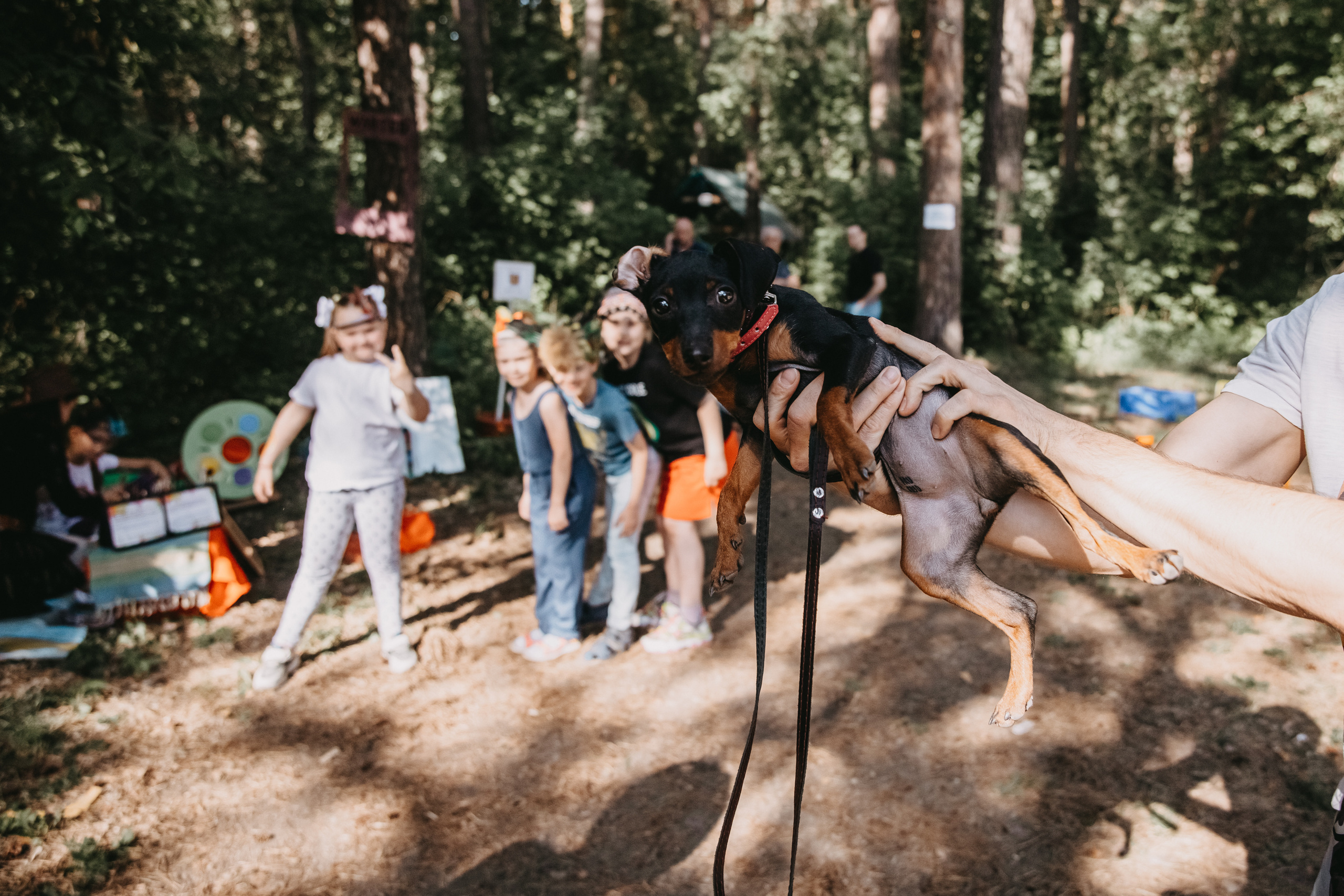 Репортажная съёмка. Свадебный фотограф в Новосибирске Анастасия Бантик