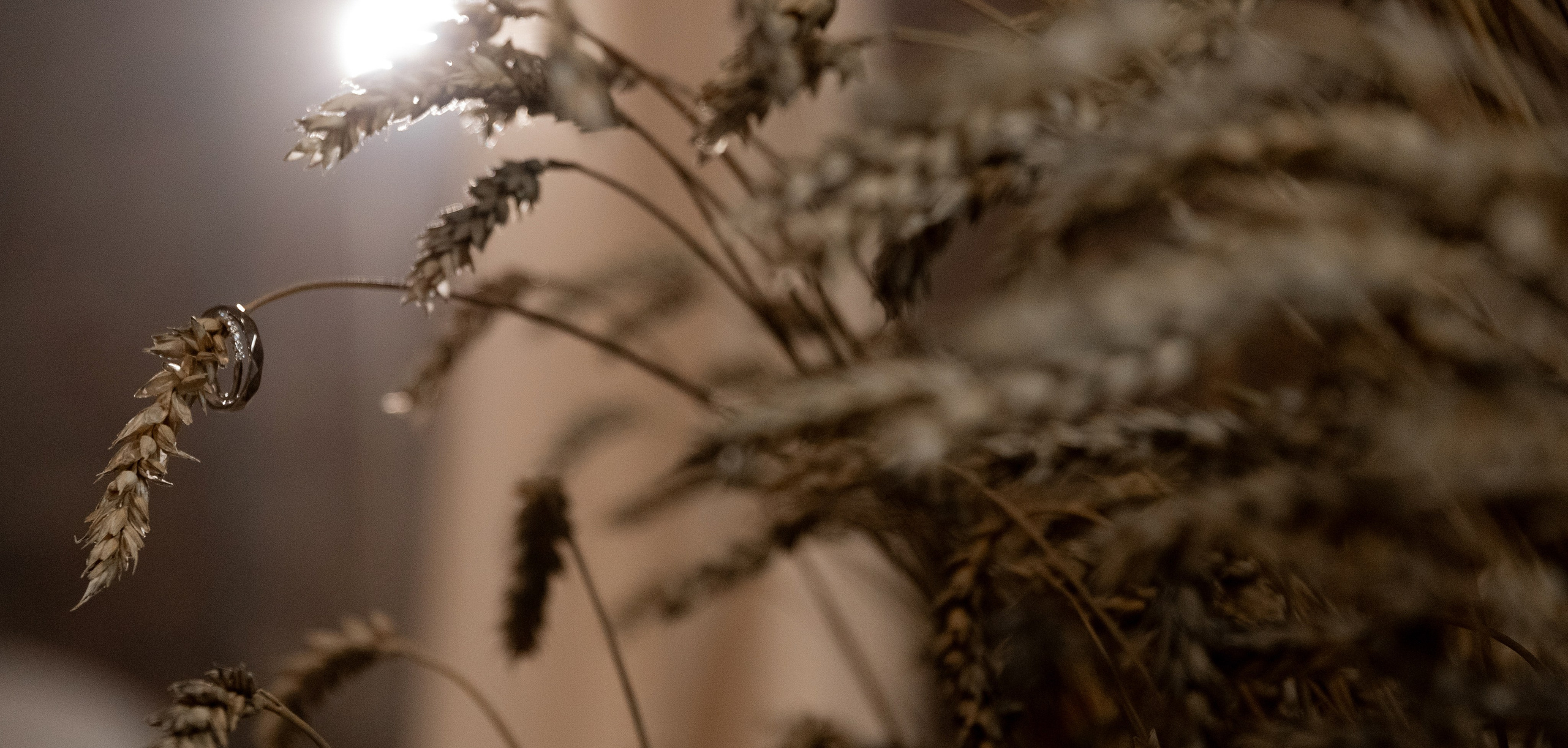 Дом —там, где ты