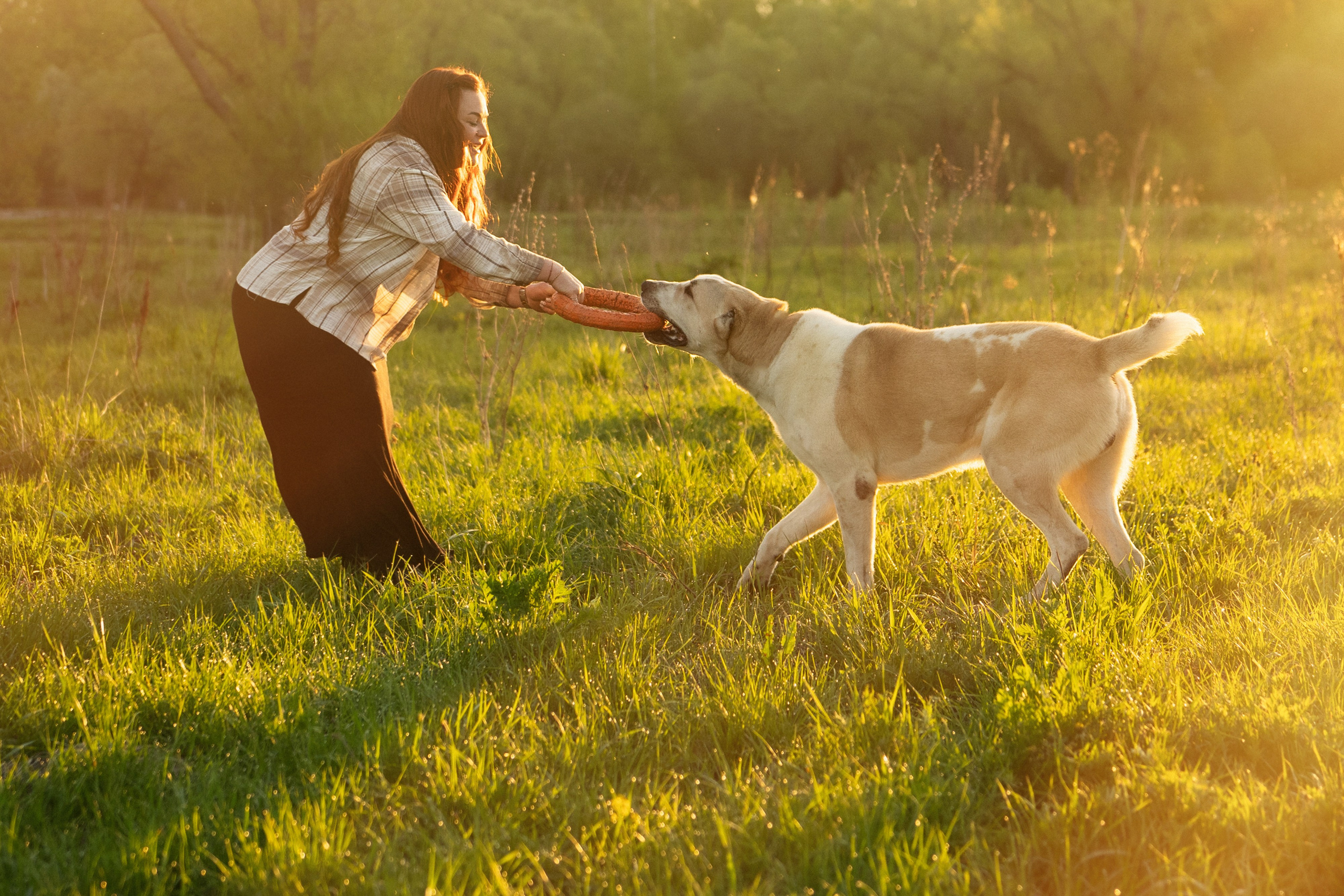 Настя и Рахат. Фотограф анималист в Москве и Санкт-Петербурге Свиридова Анна