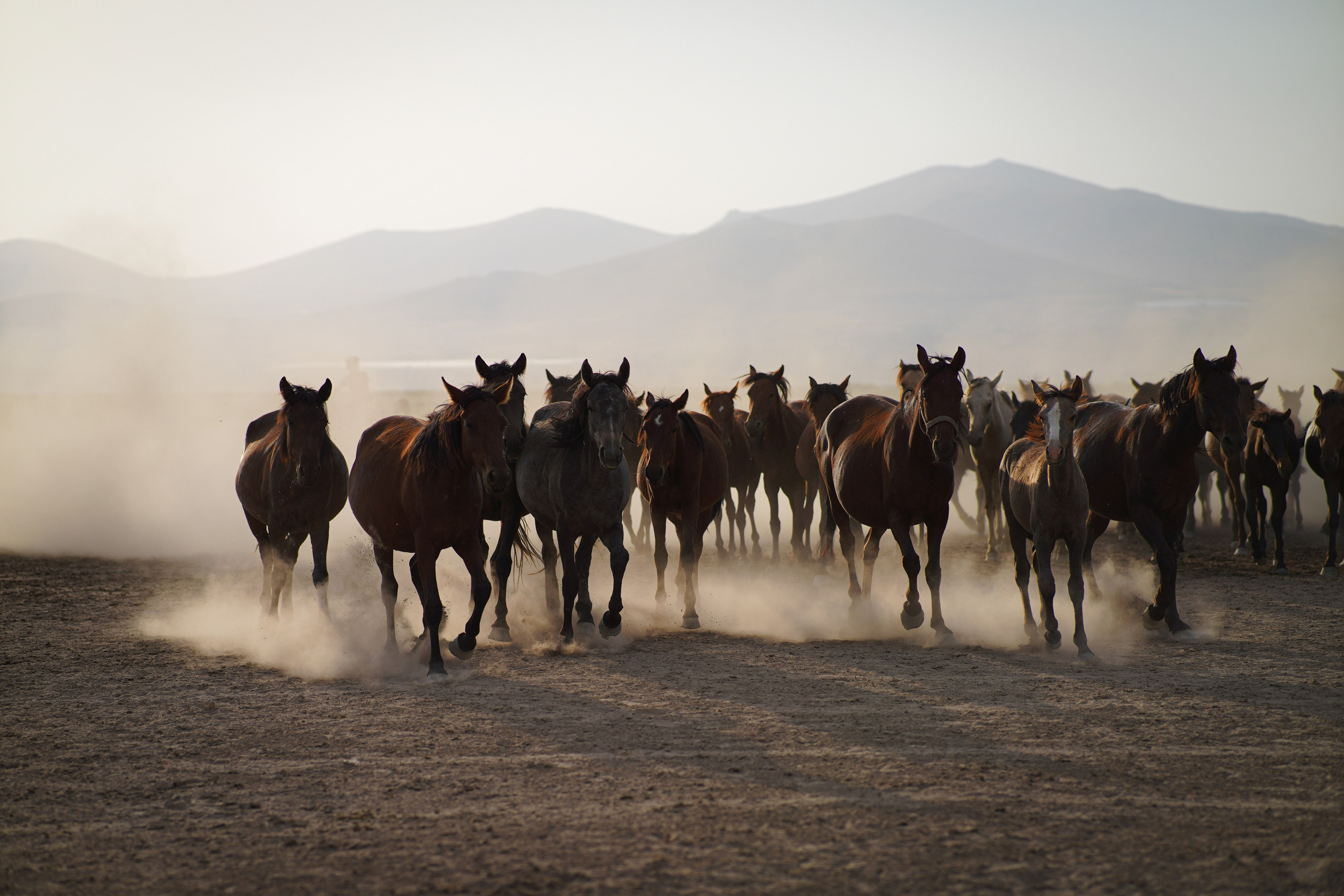 Каппадокия / Фото-тур