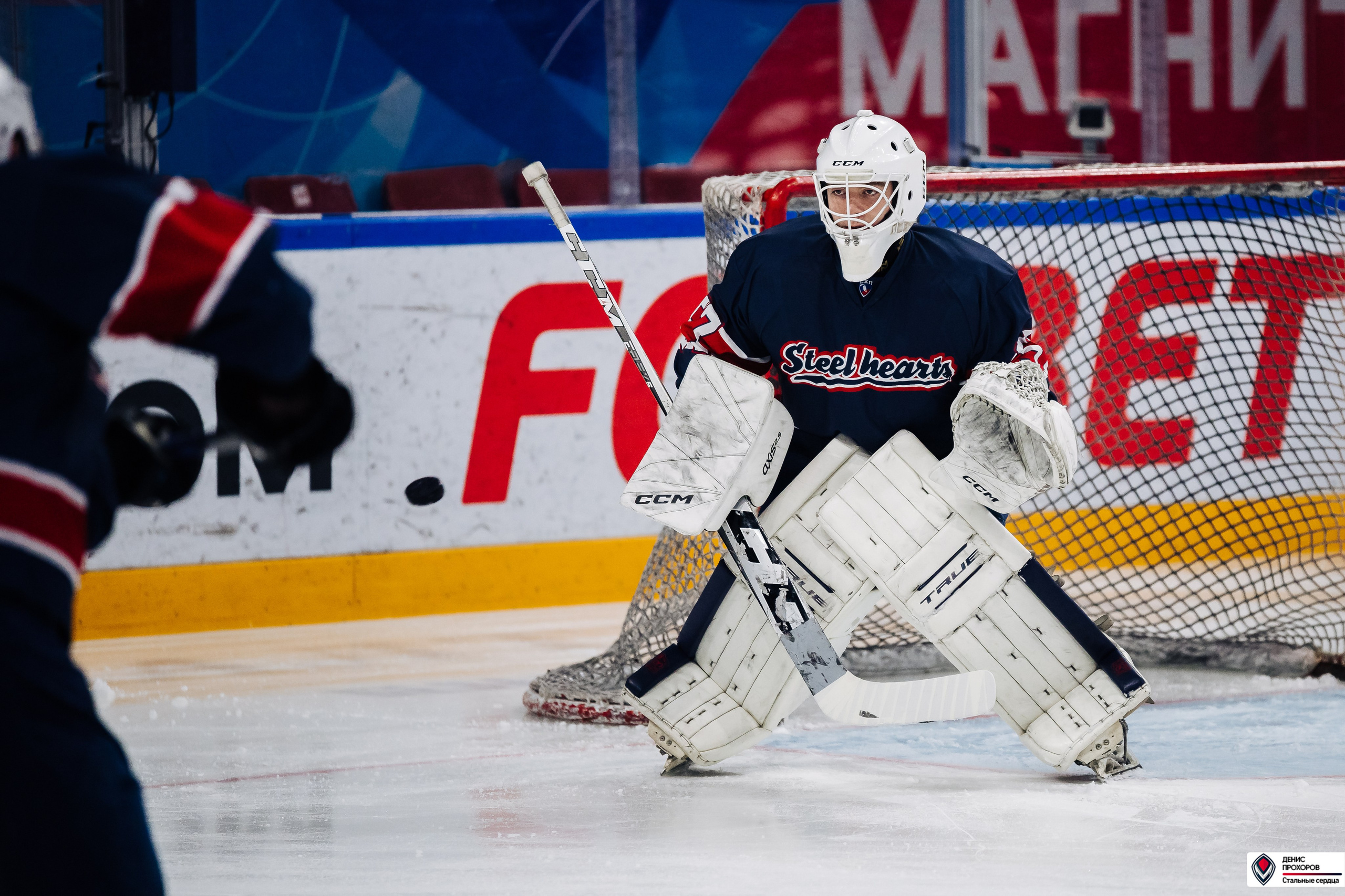«Стальные сердца» — «СФУ» // 07-08.02.25. Денис Прохоров Фотограф в г. Магнитогорск