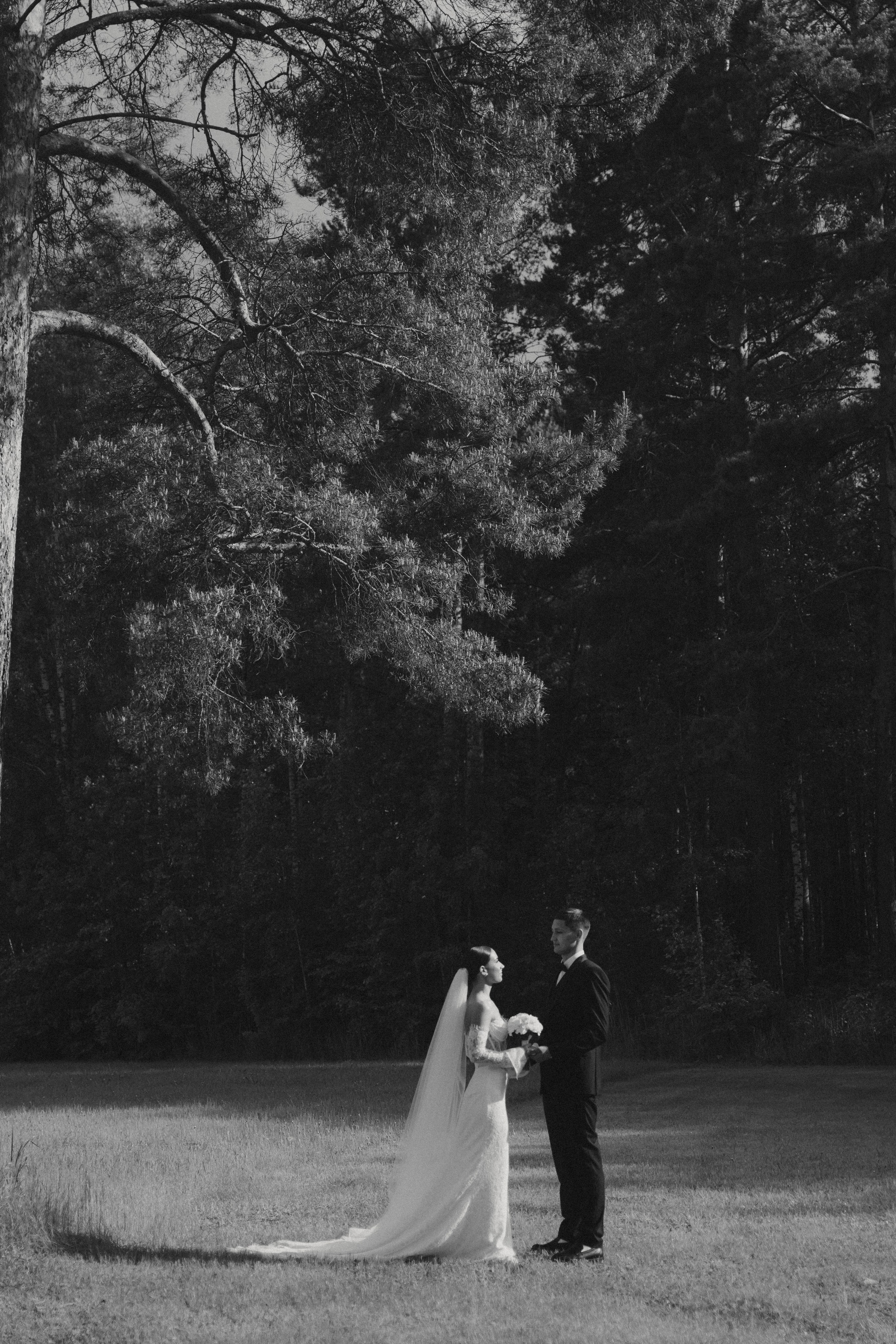 T & A. Свадебный и портретный фотограф в Тюмени Женя Черемнова