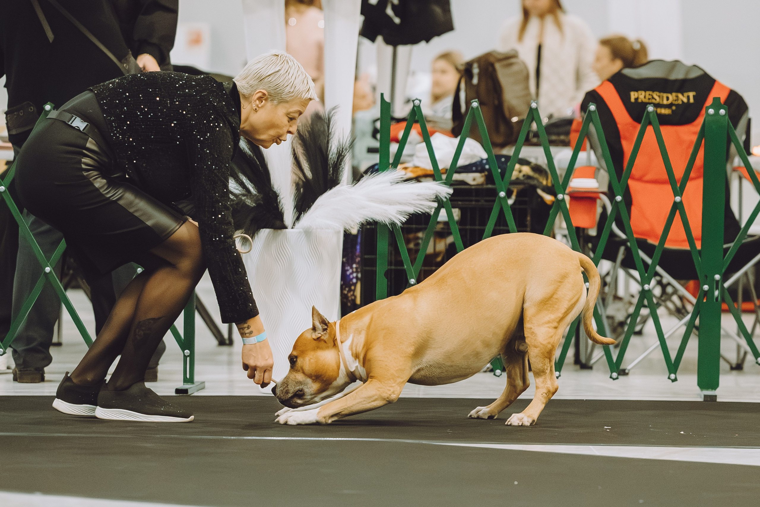 АВКС. Виктория Михайловская. Фотограф-анималист. Москва