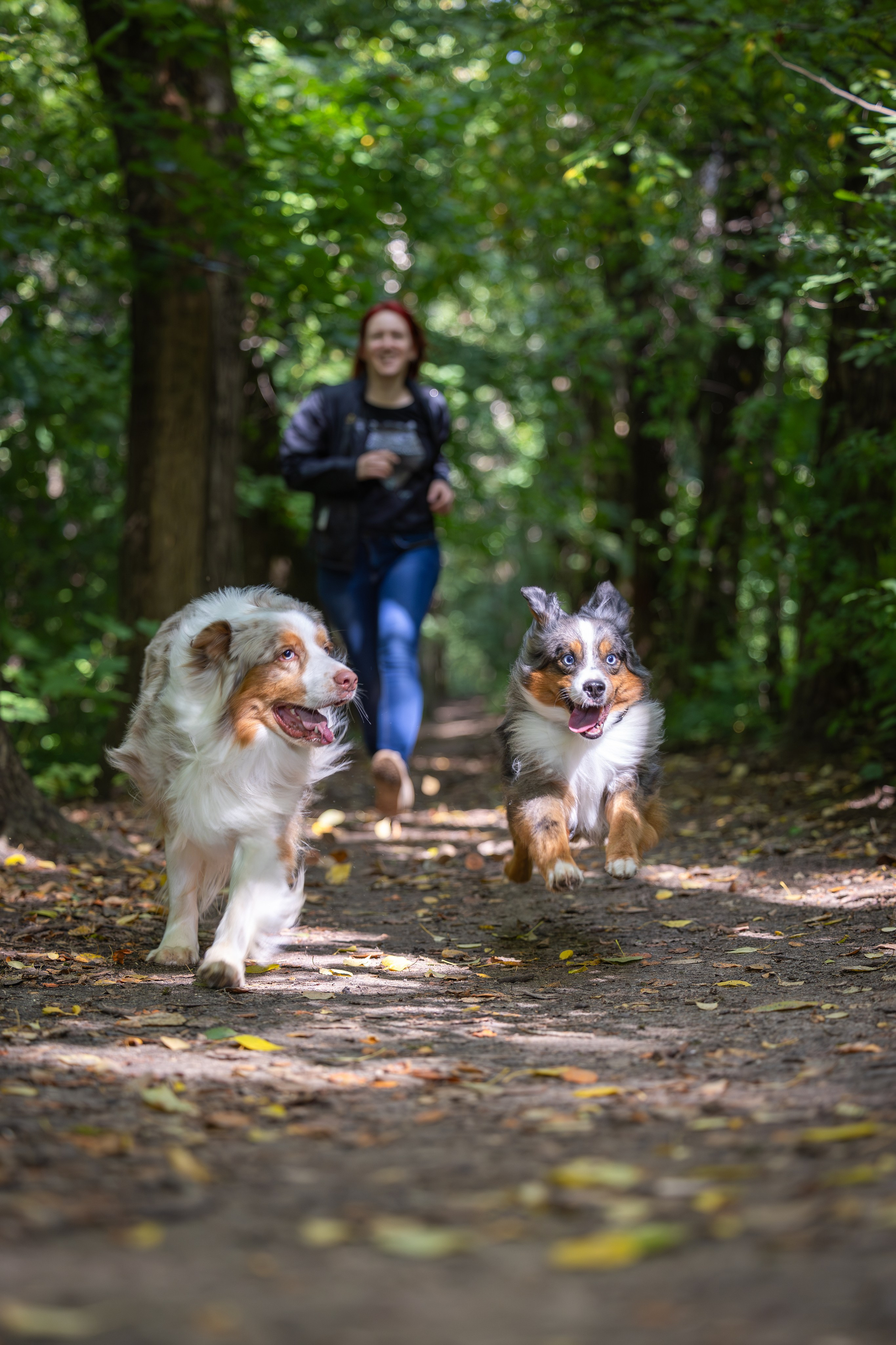 Макс и Сезам. Виктория Михайловская. Фотограф-анималист. Москва