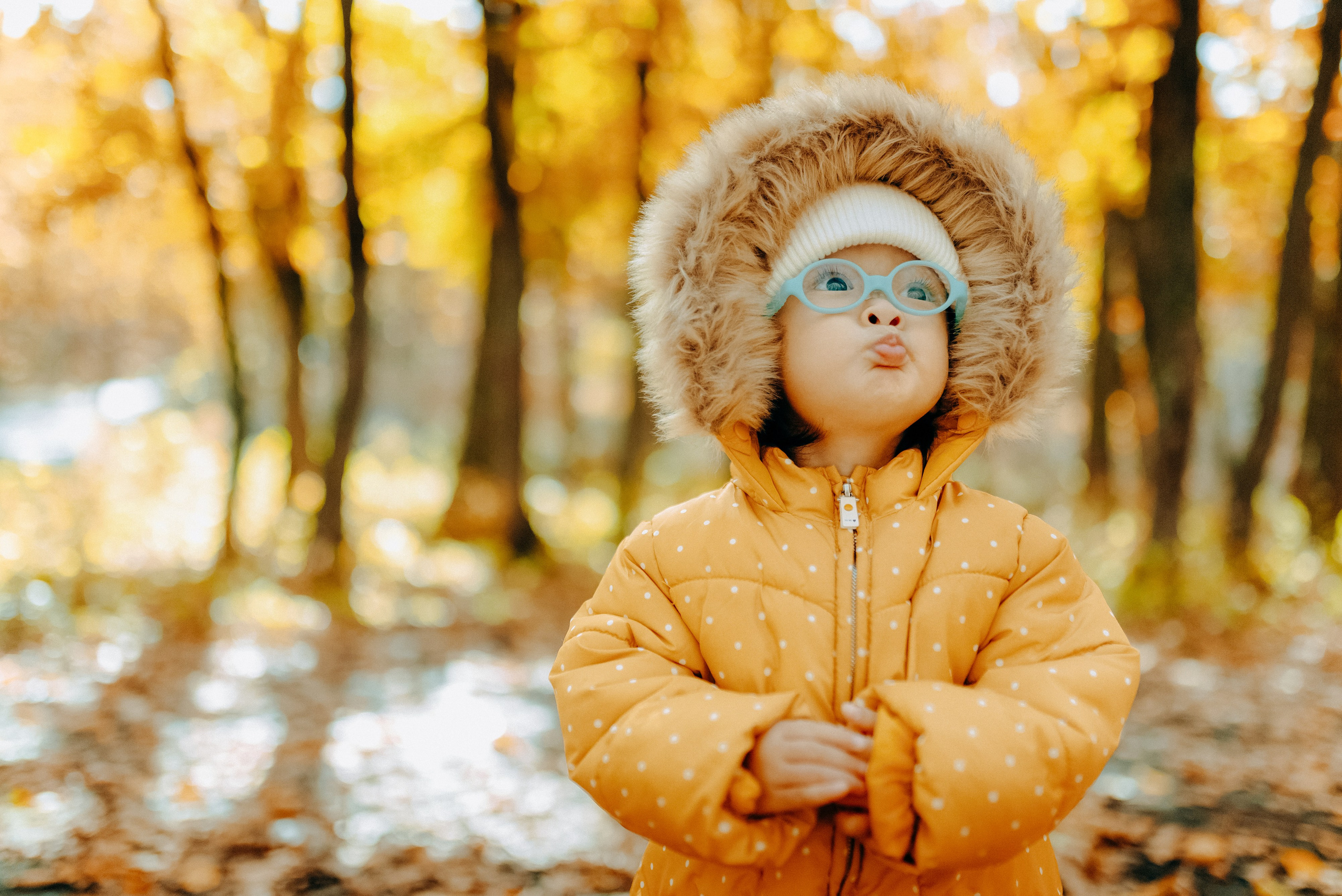 ТЕПЛАЯ ОСЕНЬ. Шашкова Вероника / Свадебный и семейный фотограф Москва и Ярославль