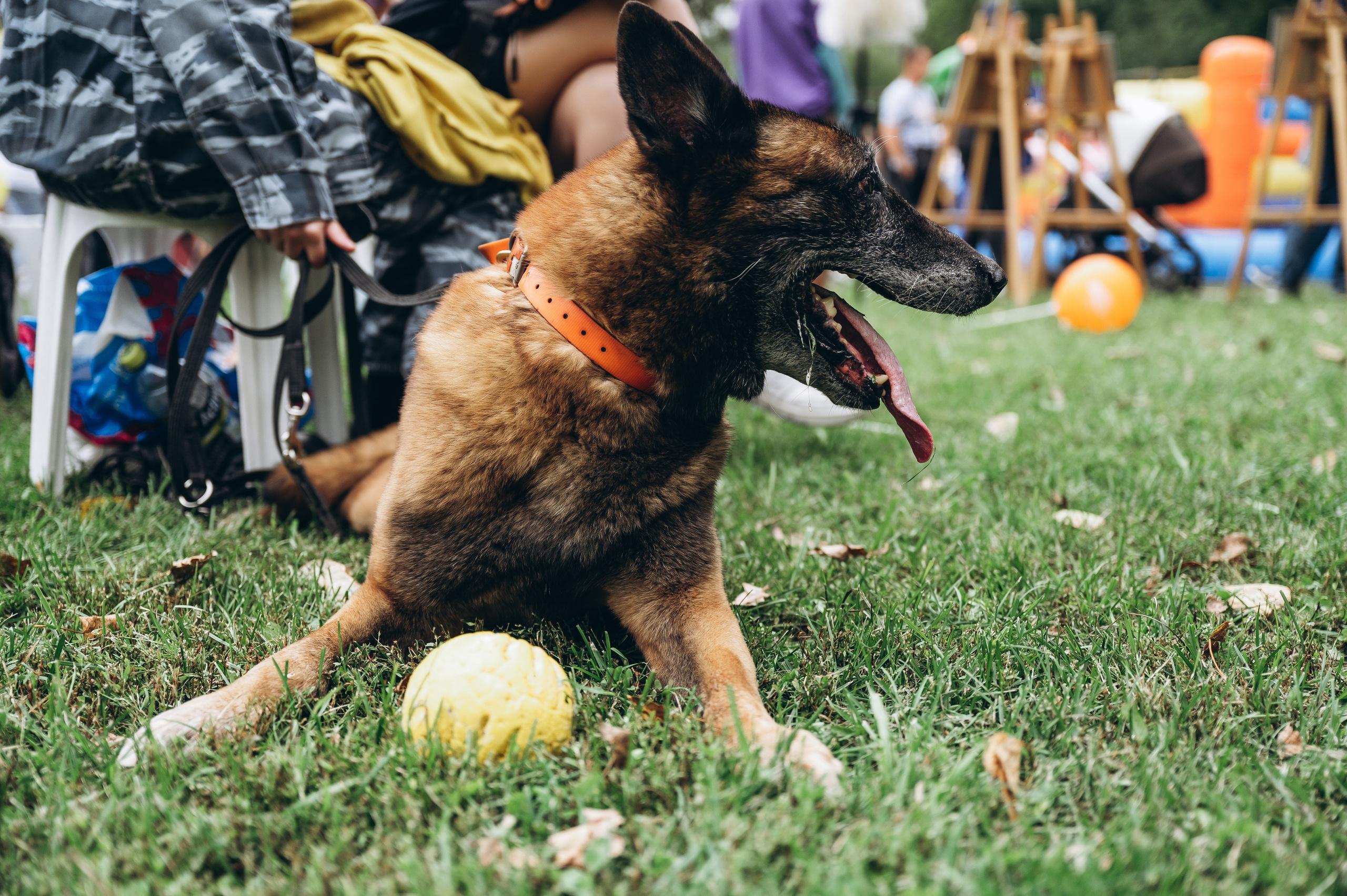 День города 2023. Фотограф Илья Солдаткин