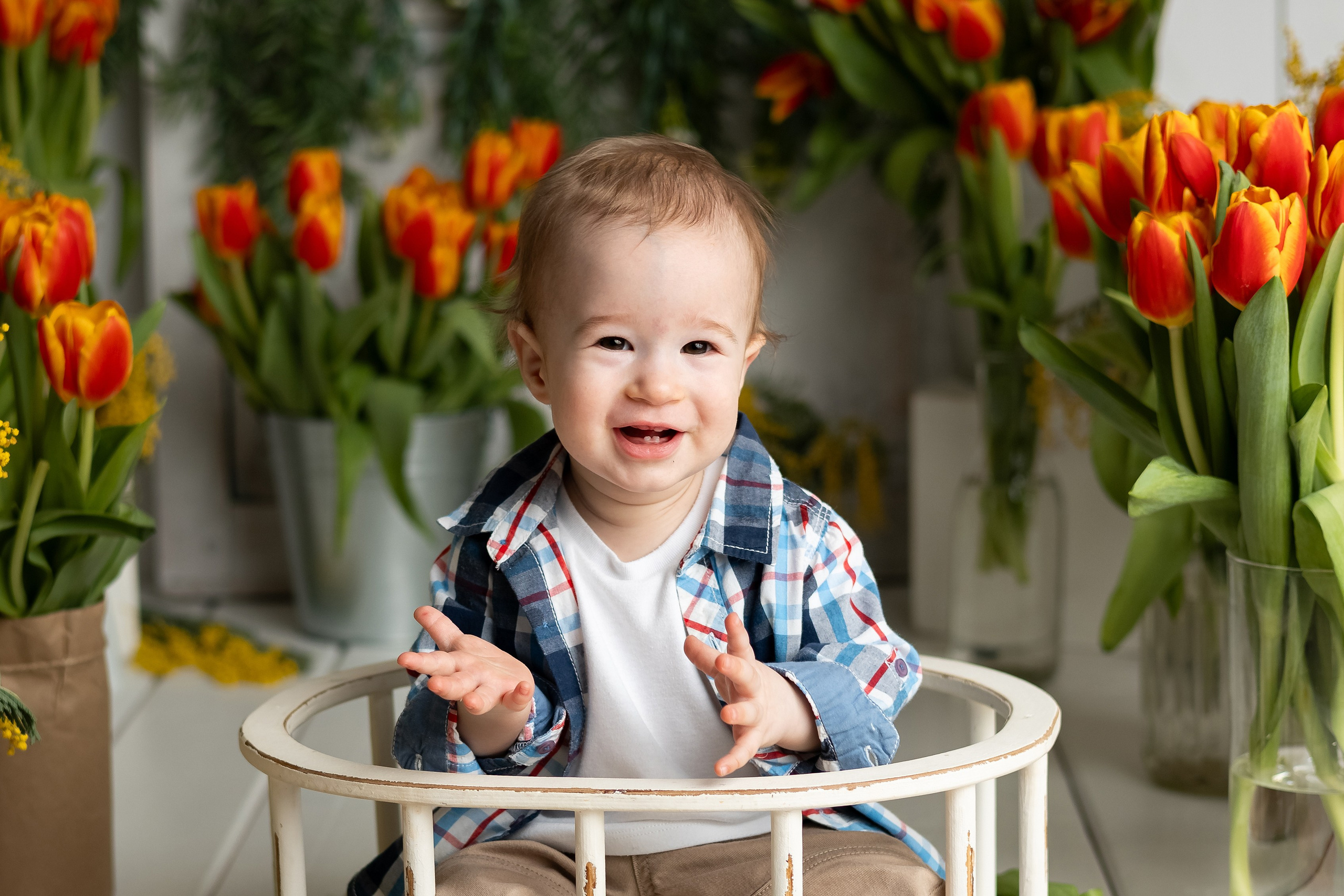 Тематические фотопроекты. Главная