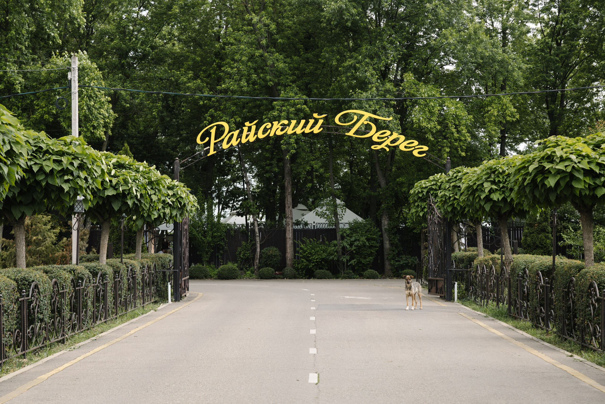 Корпоратив Ингосстрах. Артур Иликчян — Wedding & Event фотограф в Краснодаре