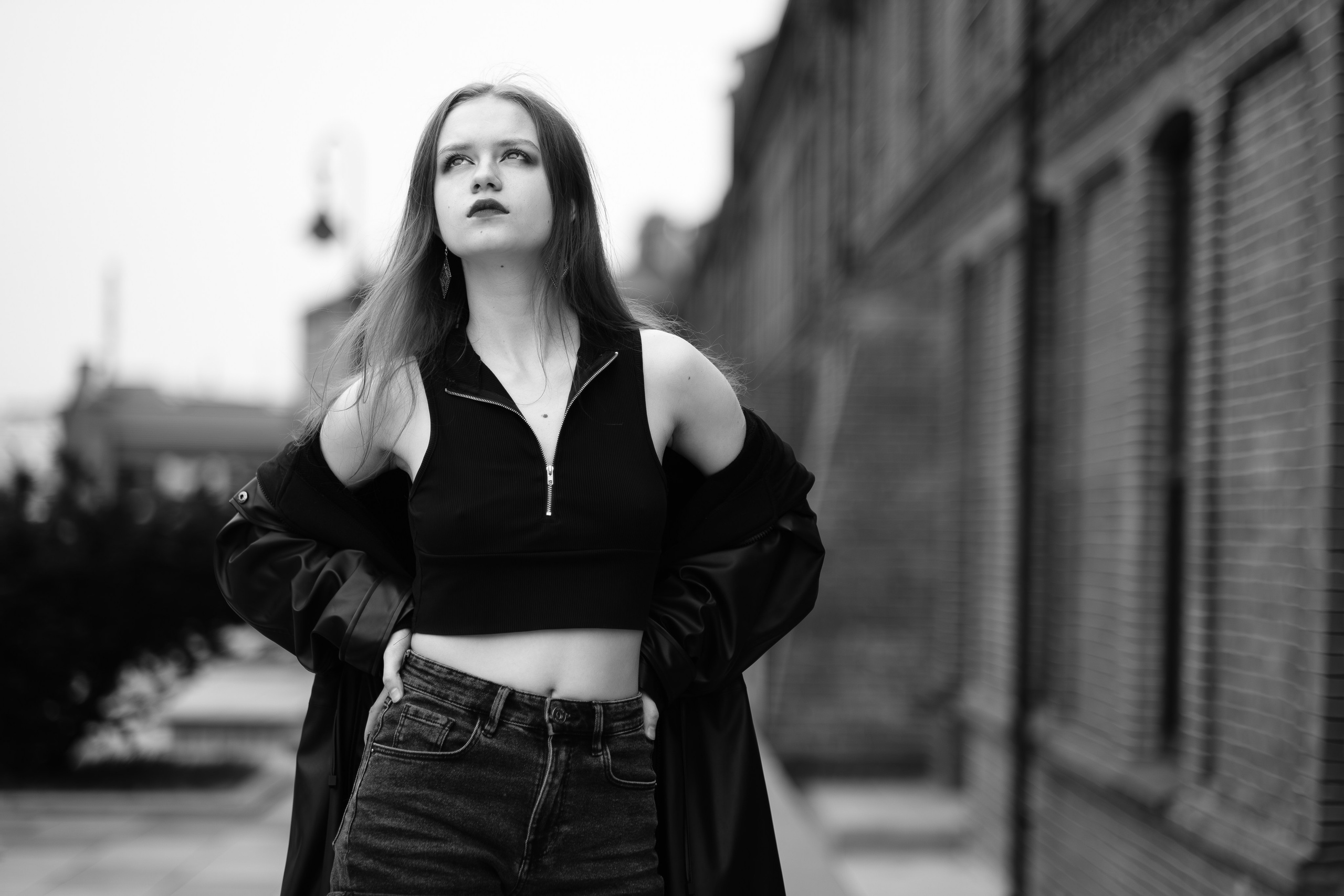 The grotesque. Aleksandr Schafft