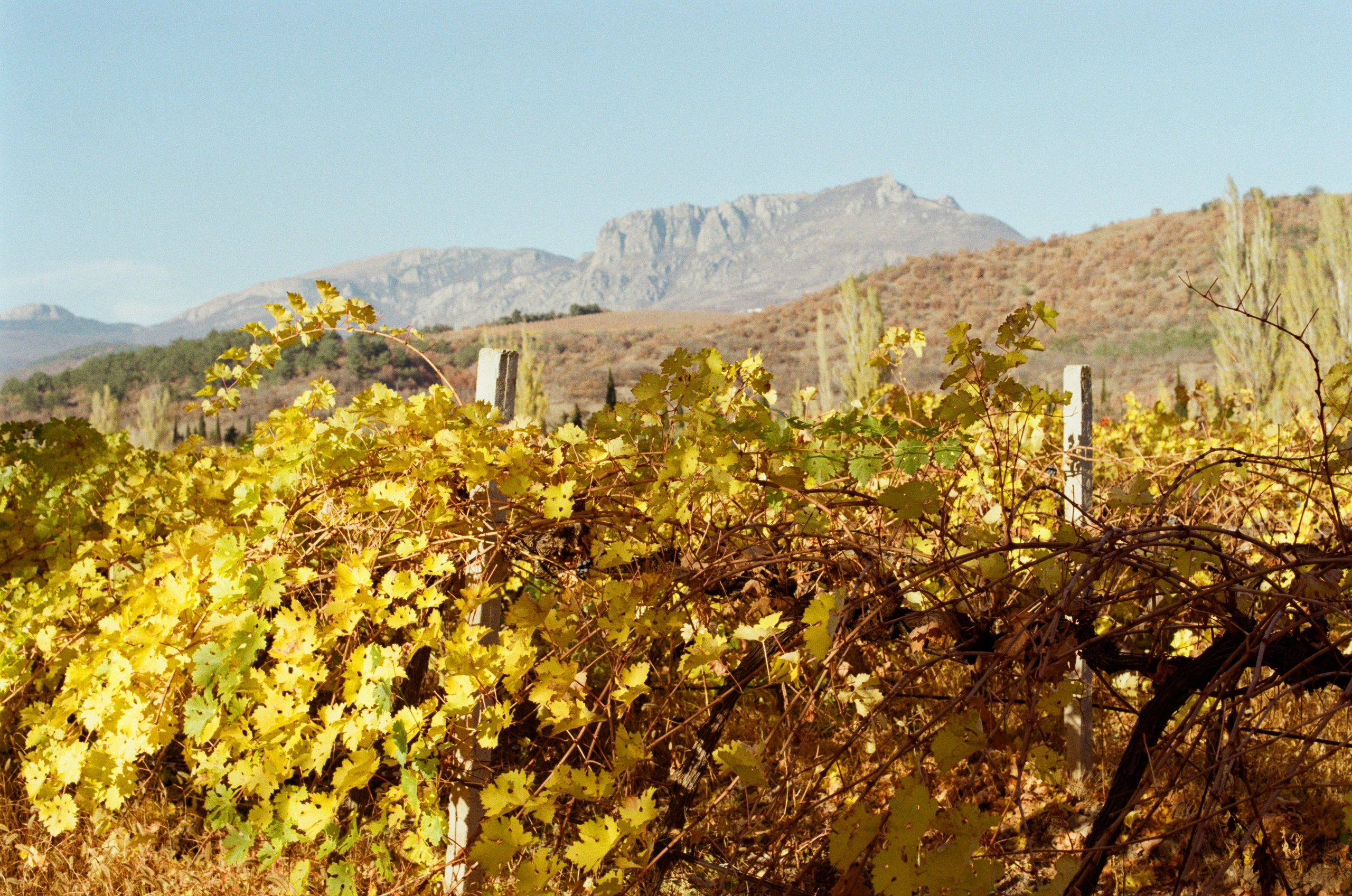 Wherever you will go // ukraine, crimea IV. EVER EXPOSED