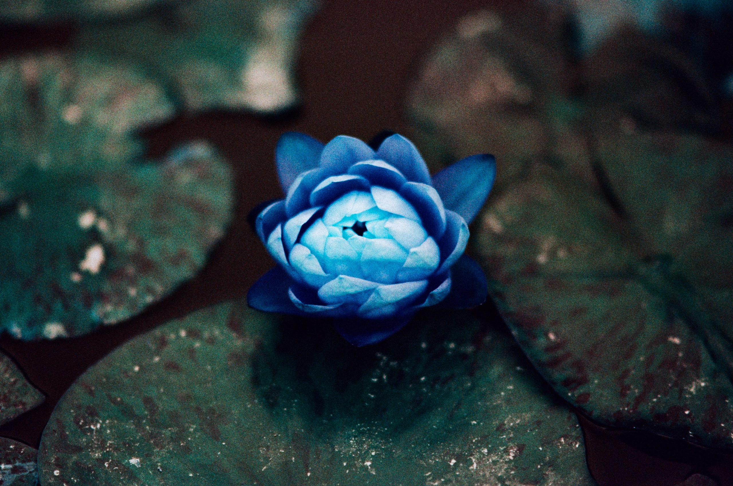 Pain shopping // ukraine, crimea III. EVER EXPOSED