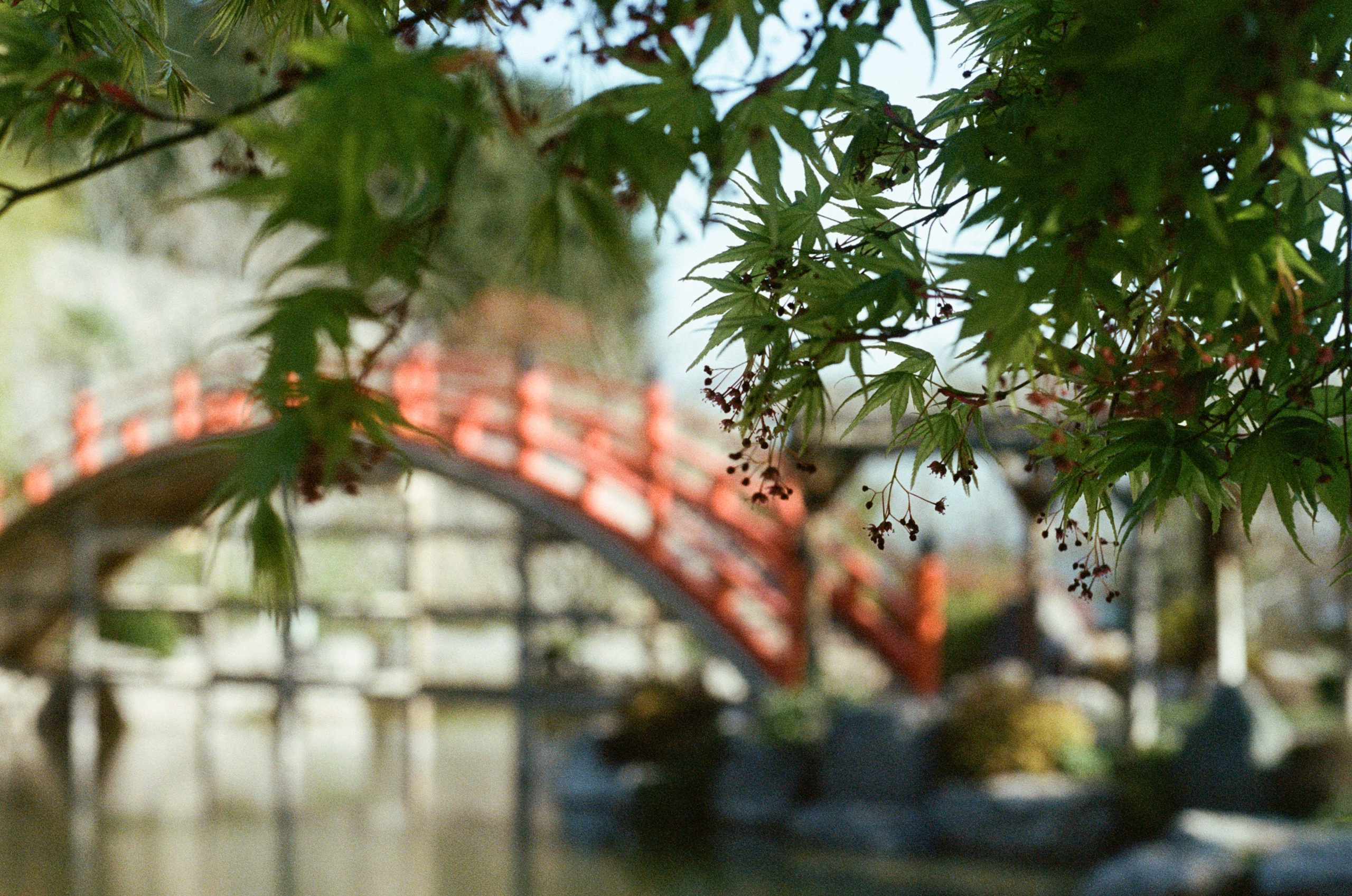 Sakura blues // ukraine, crimea VII. EVER EXPOSED