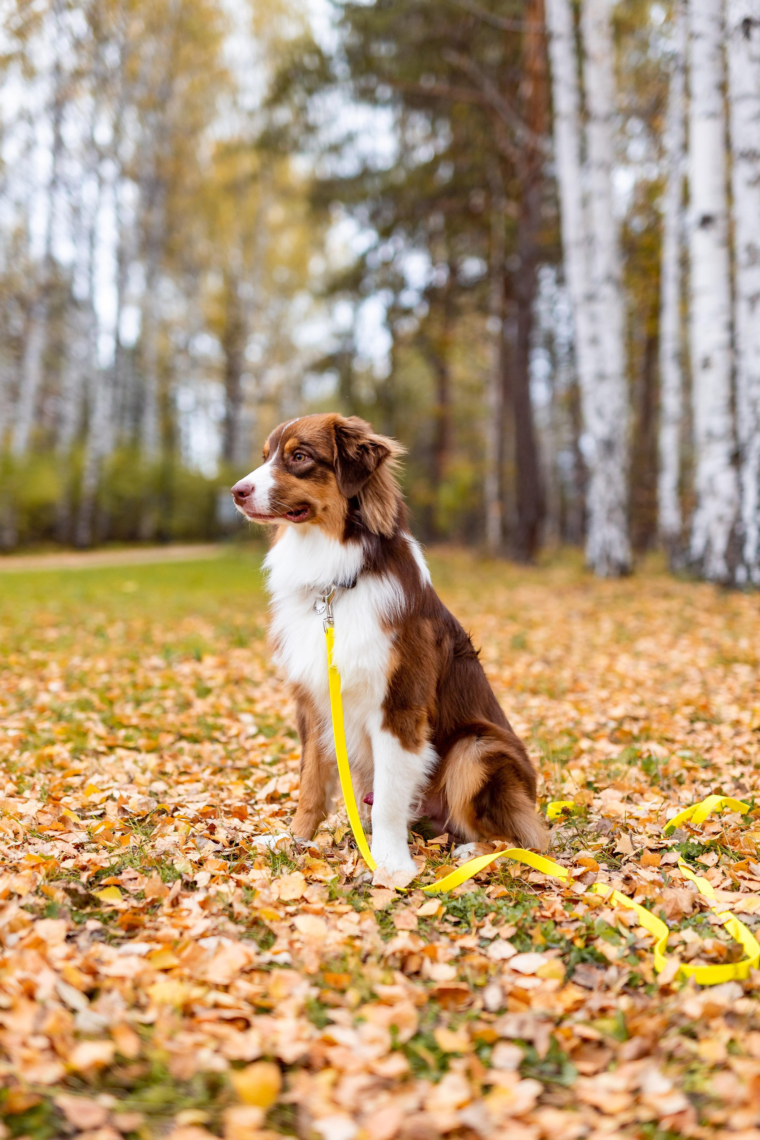 Профессиональный фотограф Верхняя Пышма. Семейный фотограф в Екатеринбурге
