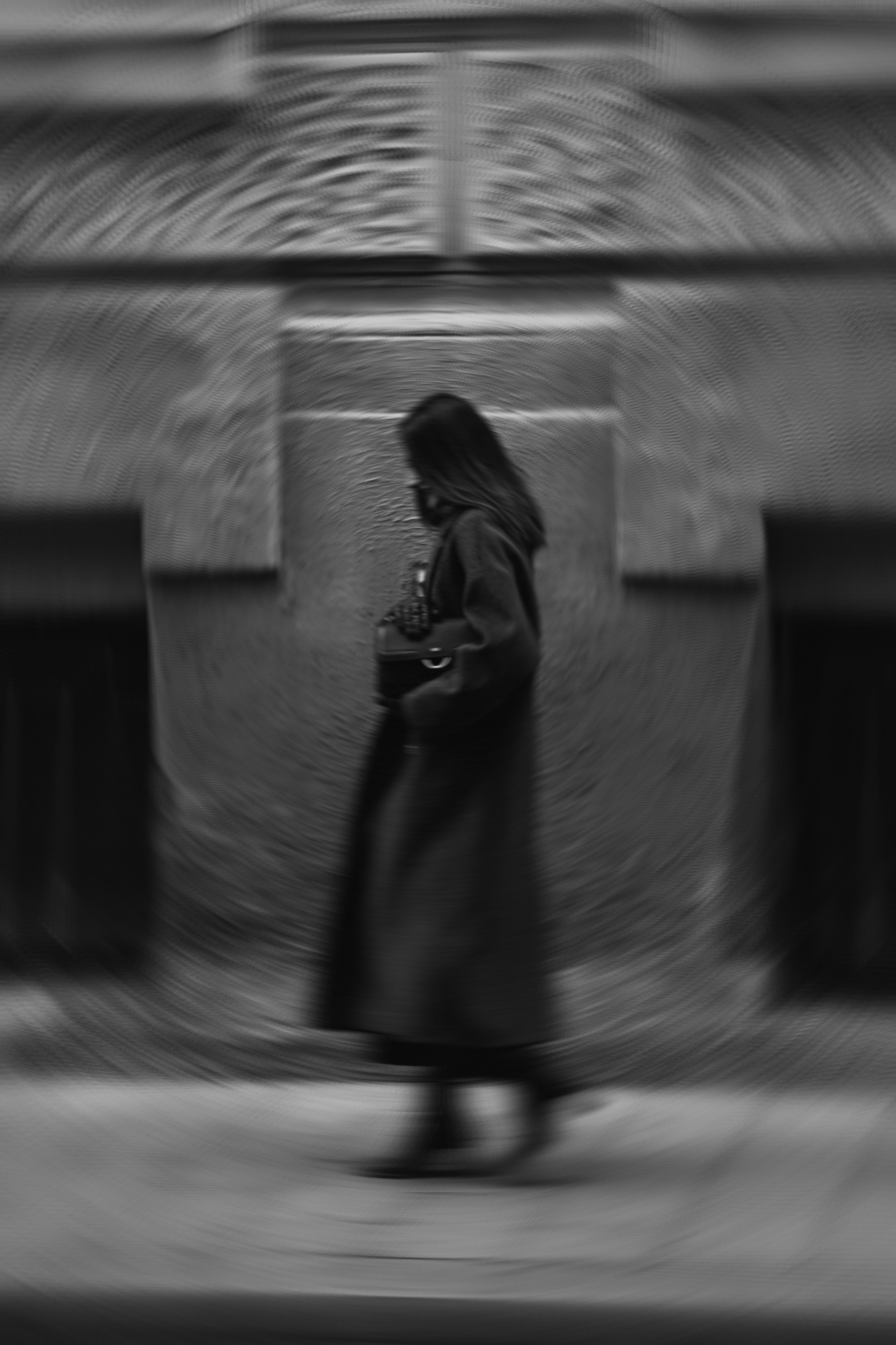 Лебедь. Семейный фотограф Химки — Москва