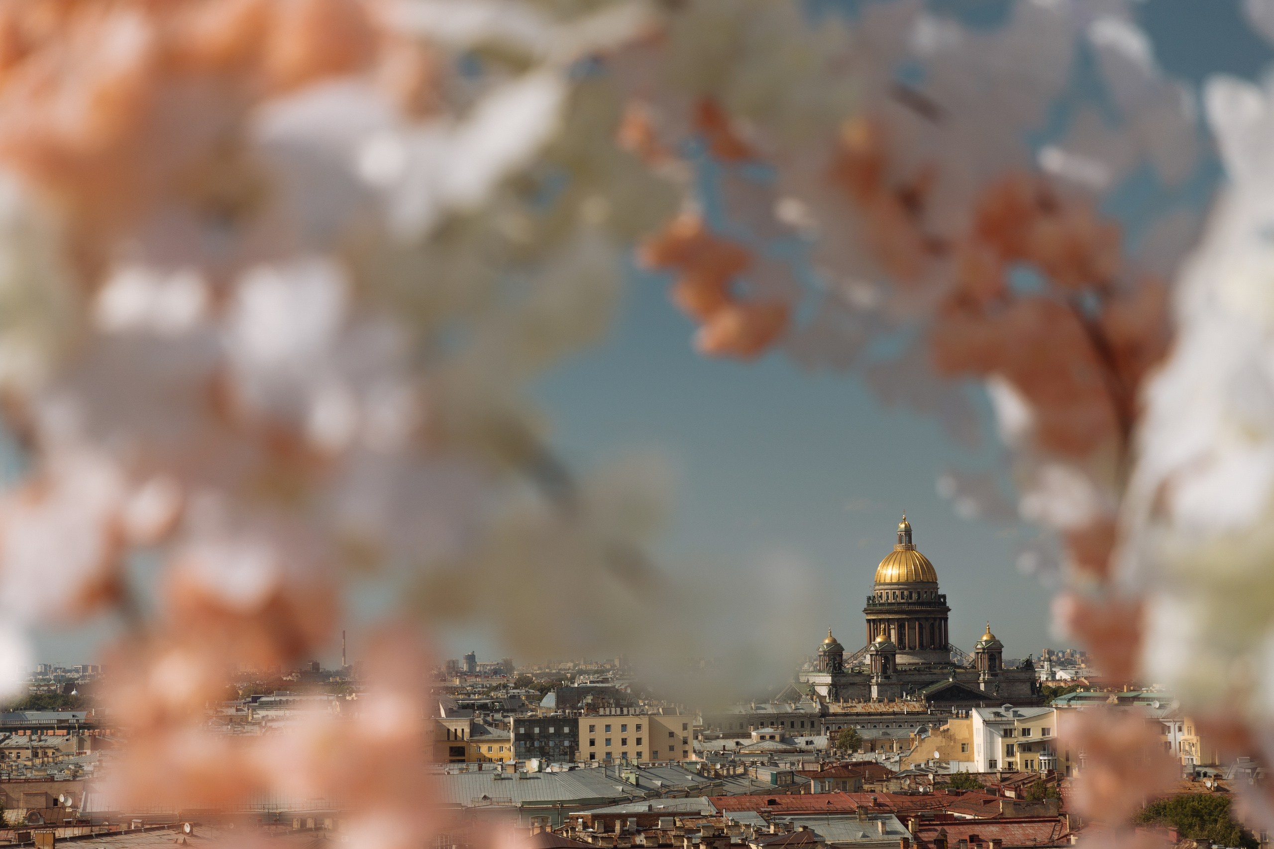 Ветер в твоих волосах. Портфолио свадебного фотографа. Роман Каргаполов