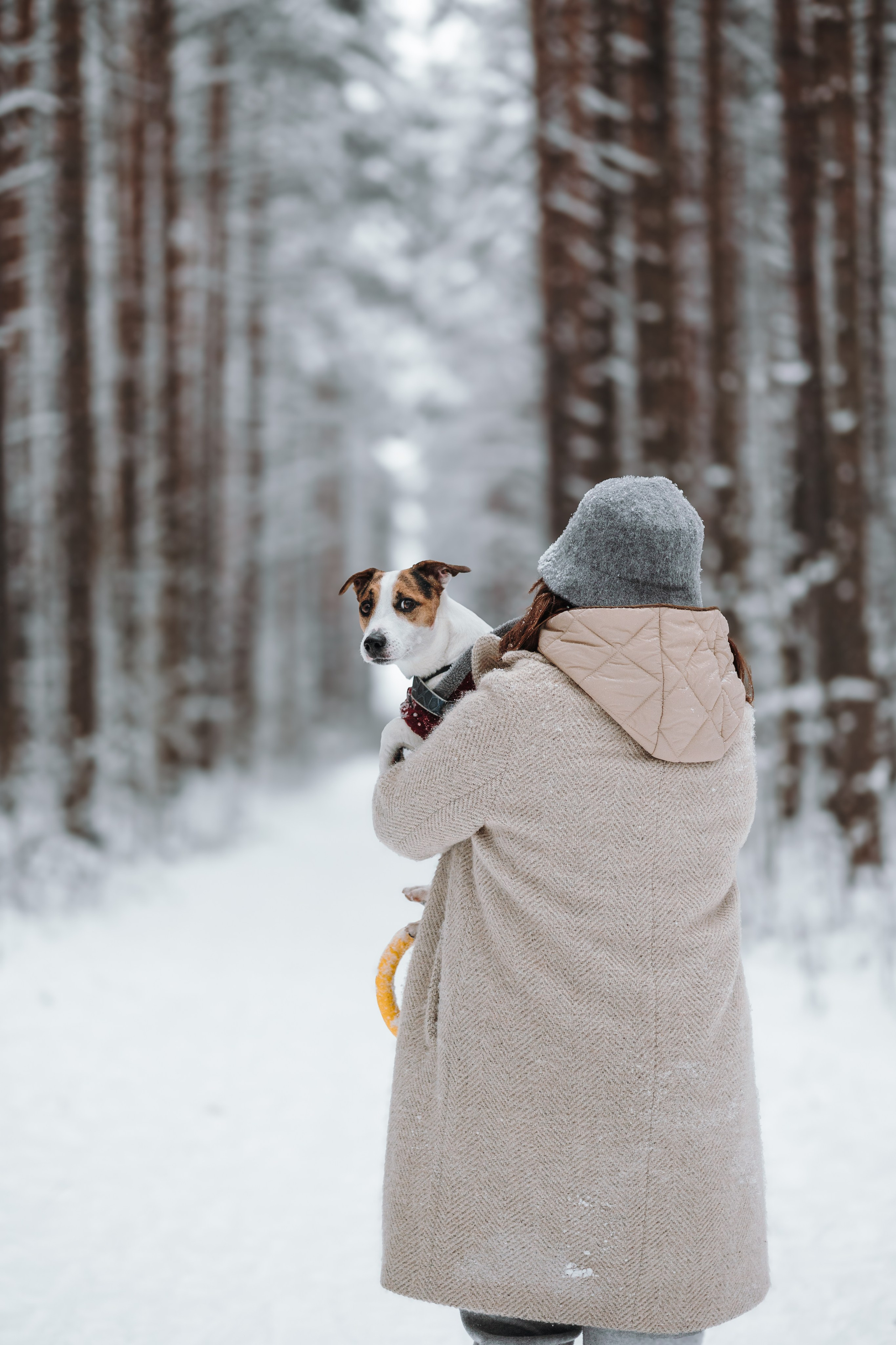 Наталья и Микки. Фотограф — Анималист | Санкт-Петербург