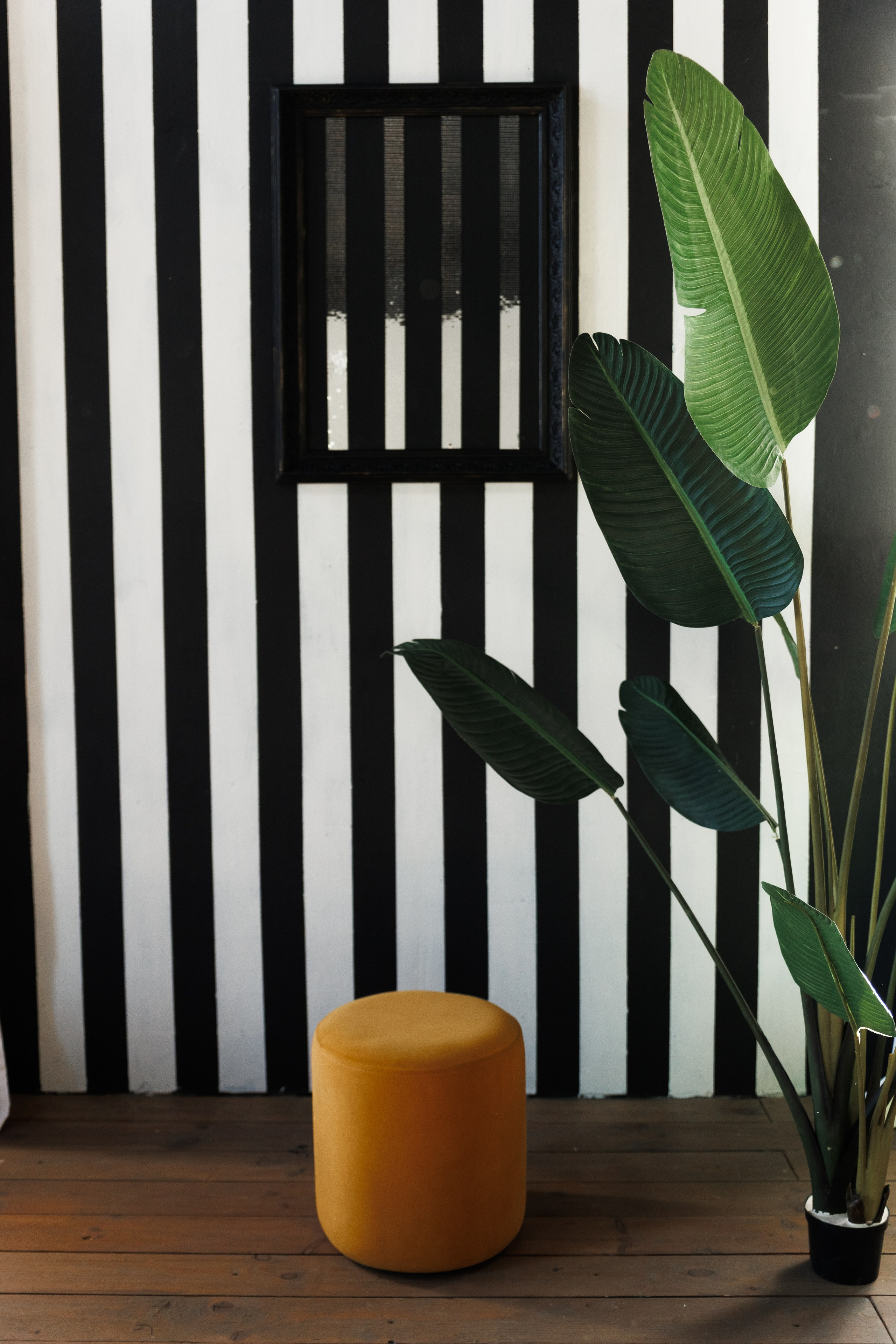 Дом (Большой зал) (Калинина, 189а). Портретный, семейный, свадебный фотограф в Брянске Маргарита Василькова