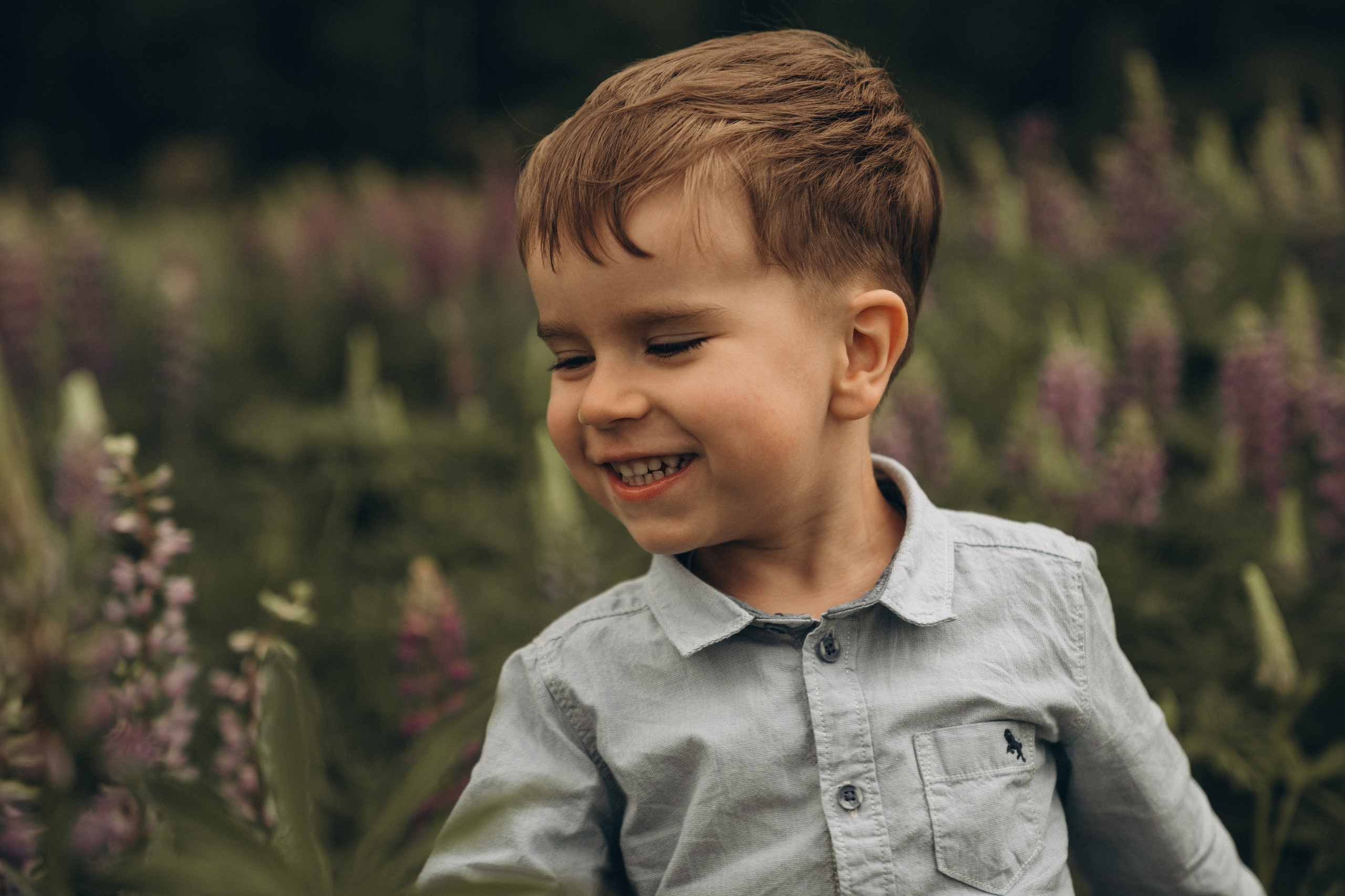 Люпиновая пора. Семейный и детский фотограф Москва Дарья Бугра