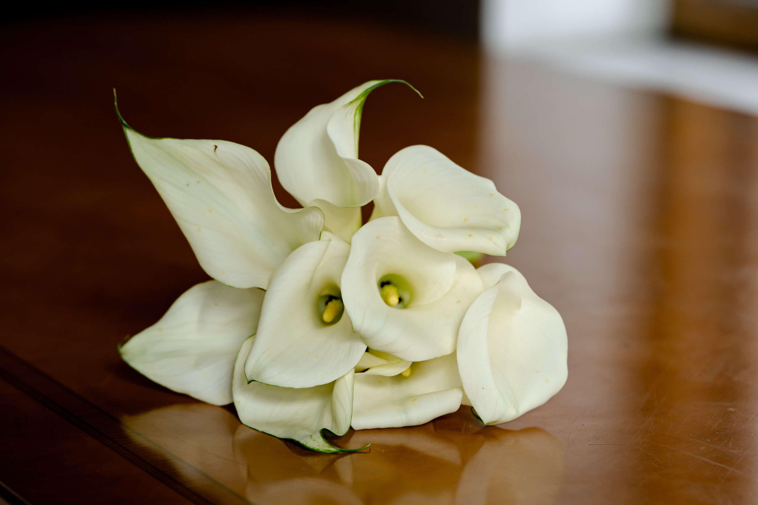 Варвара & Владимир. Фотограф Москва. Базанова Анастасия