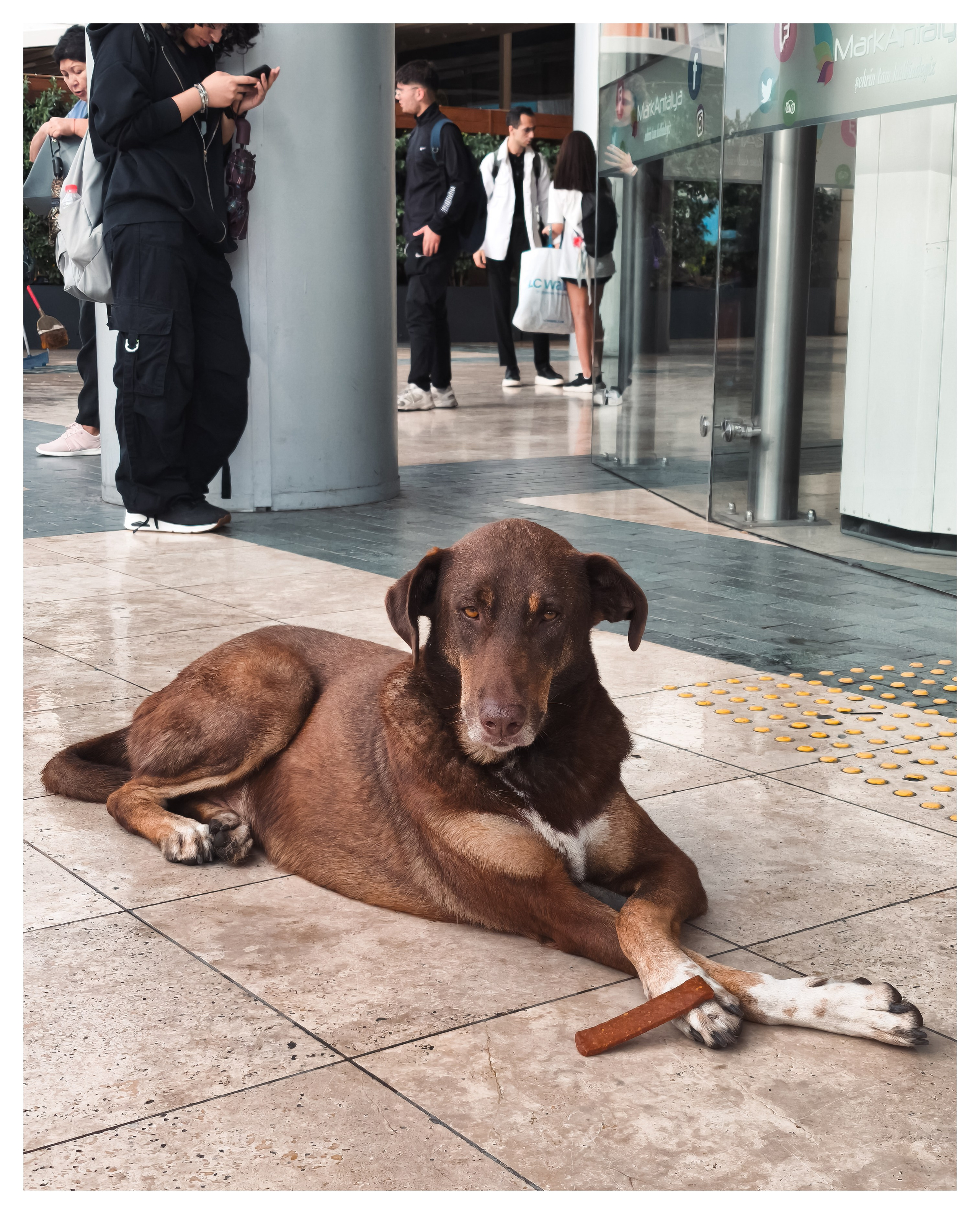 Мир повседневных Вещей. Репортажный и портретный фотограф, Влад Хафизов, Москва