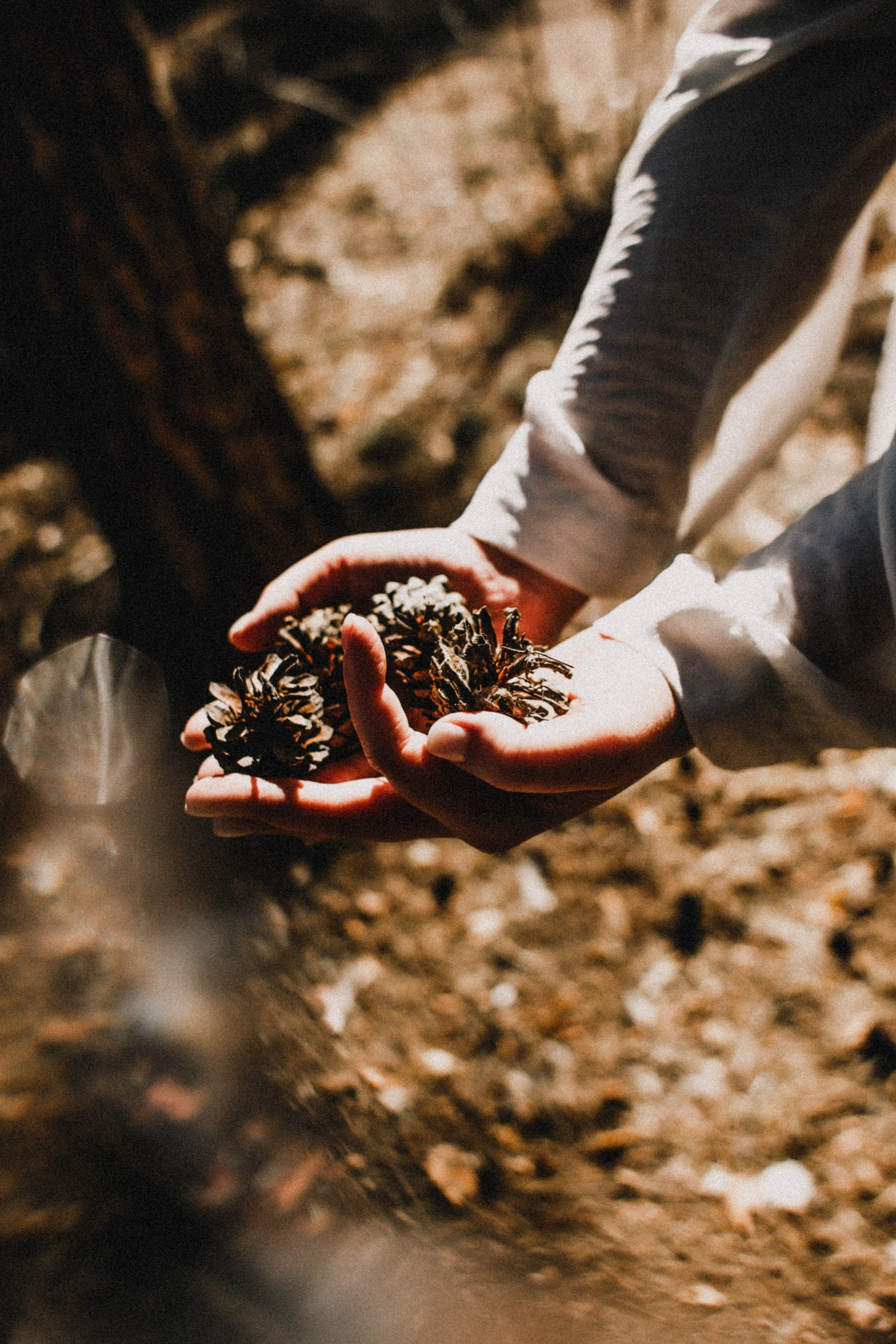 Дарья в корнях. Фотограф в Нижнем Новгороде