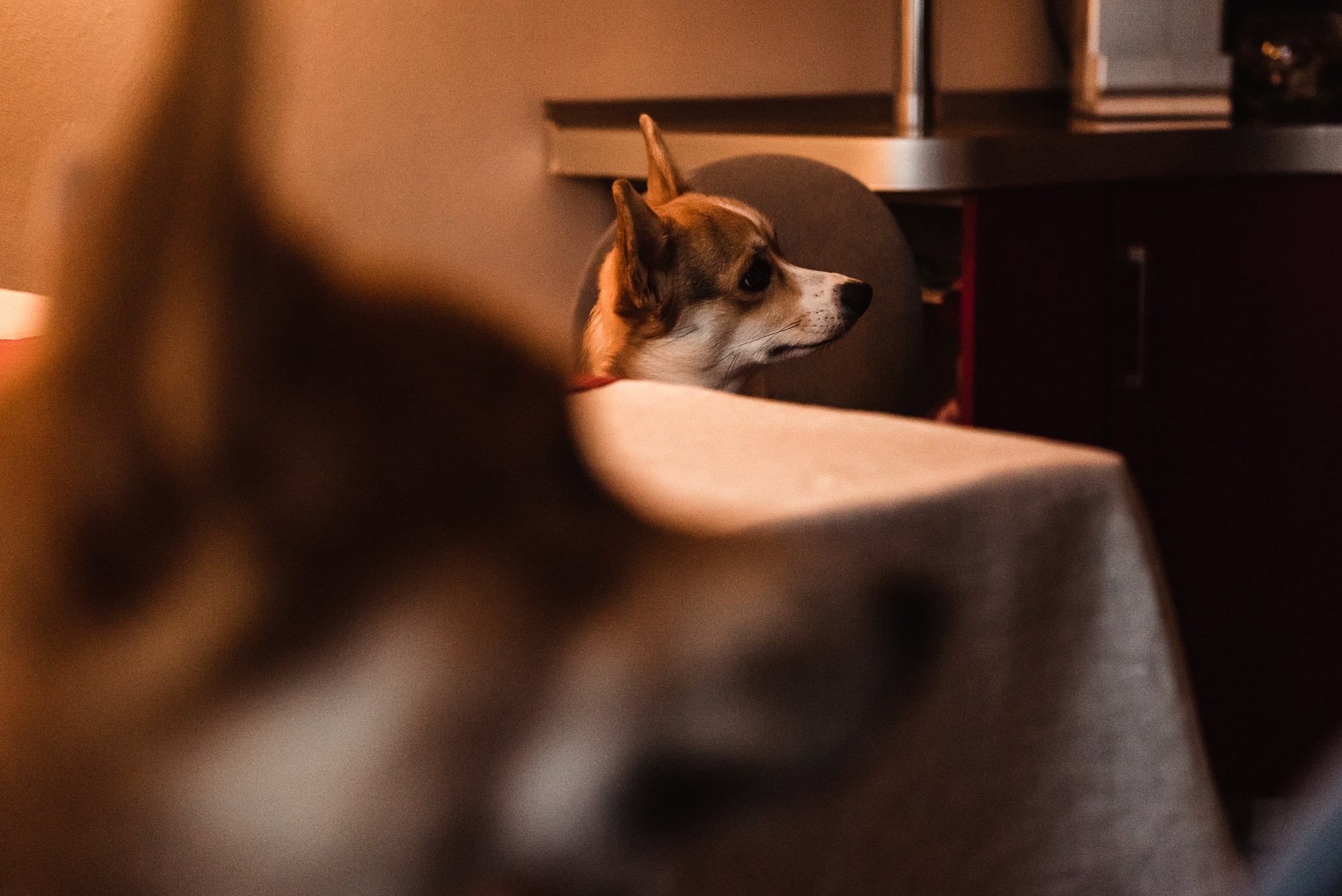 Пижамная вечеринка Тани и Димы. Семейный Фотограф в Москве Ирина Хохлова