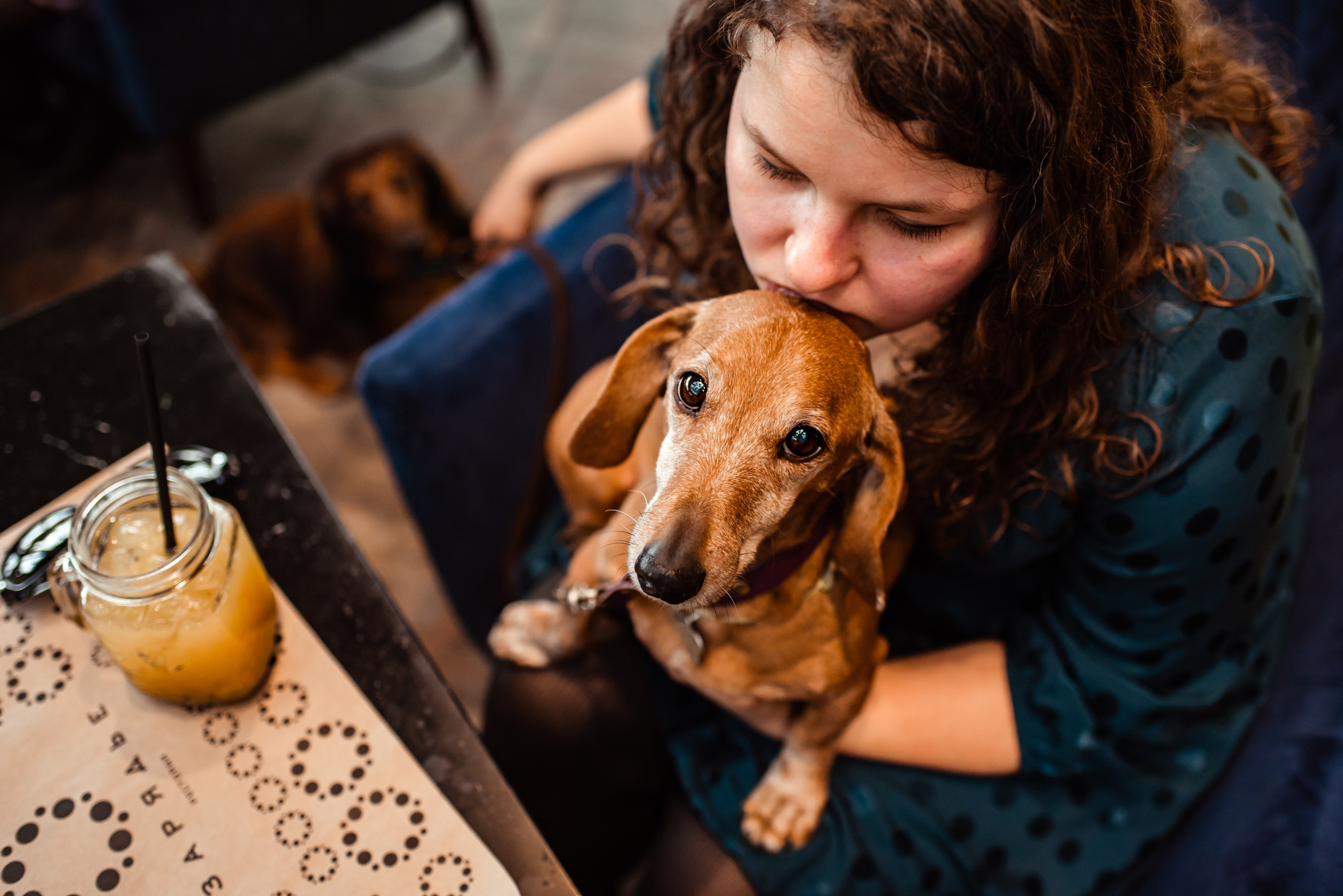 Таксы на Красной площади. Семейный Фотограф в Москве Ирина Хохлова