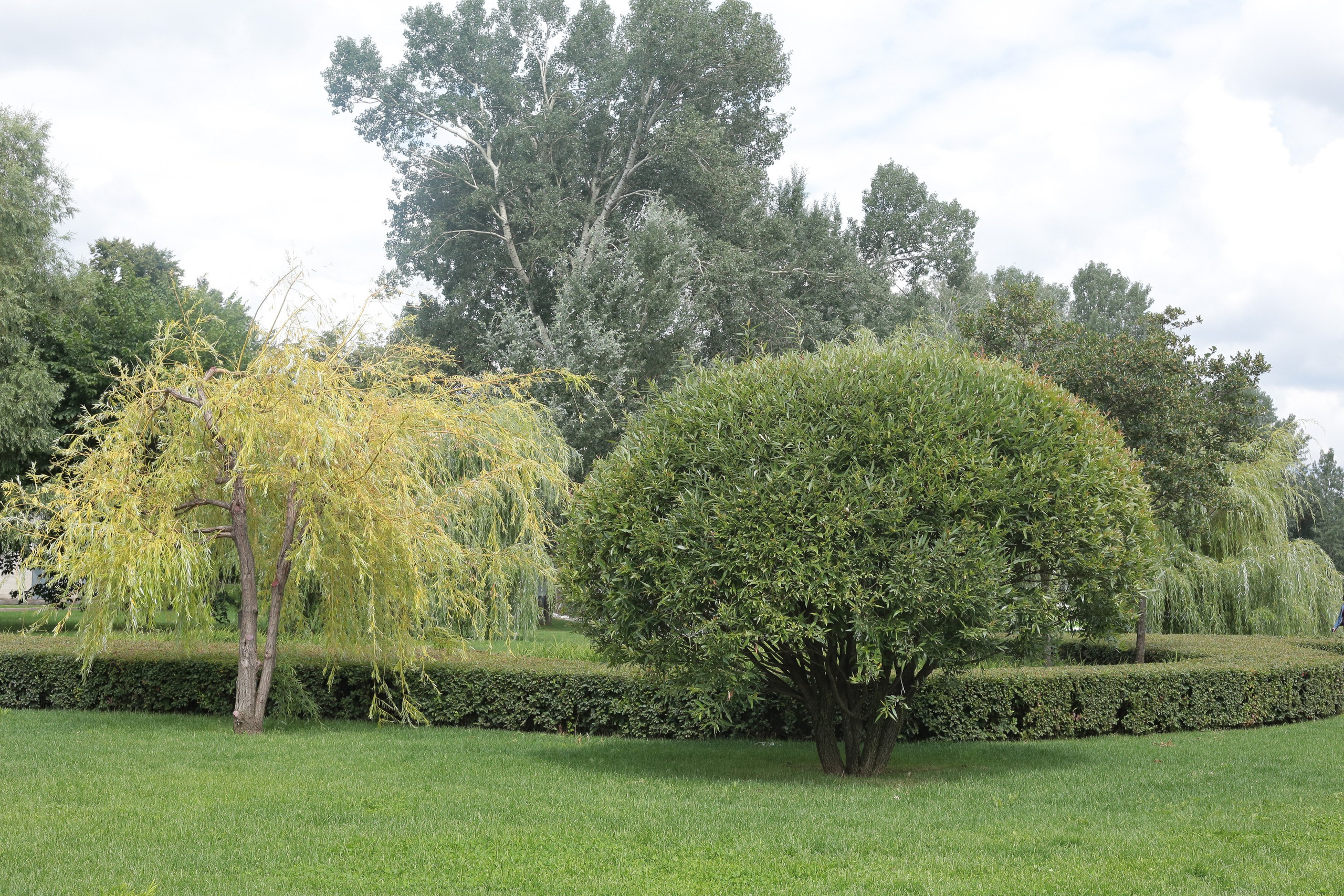 Фото Москвы. Студия Максима Белослюдцева
