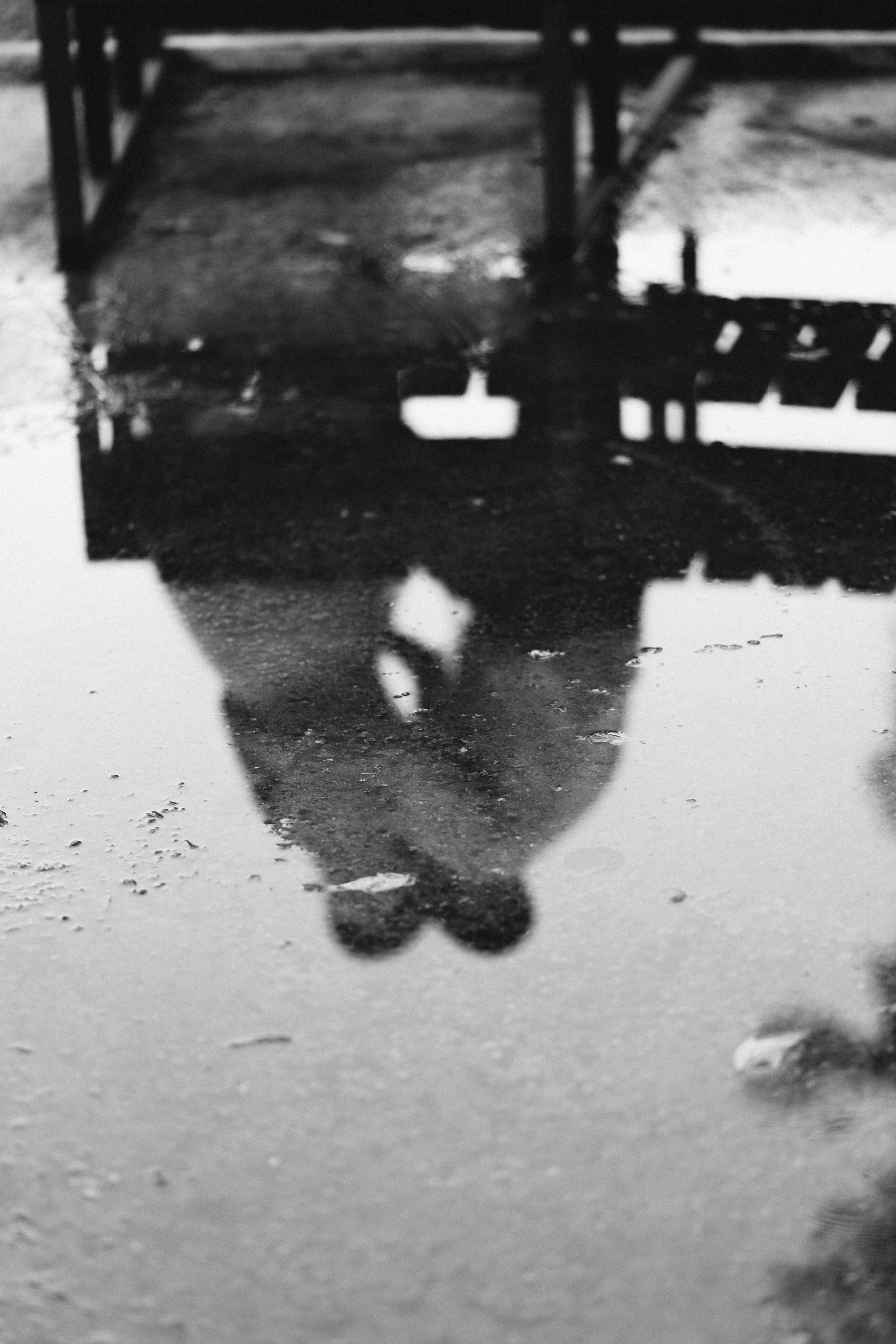 Люся и Егор. Фотограф Юлия Стрыгина