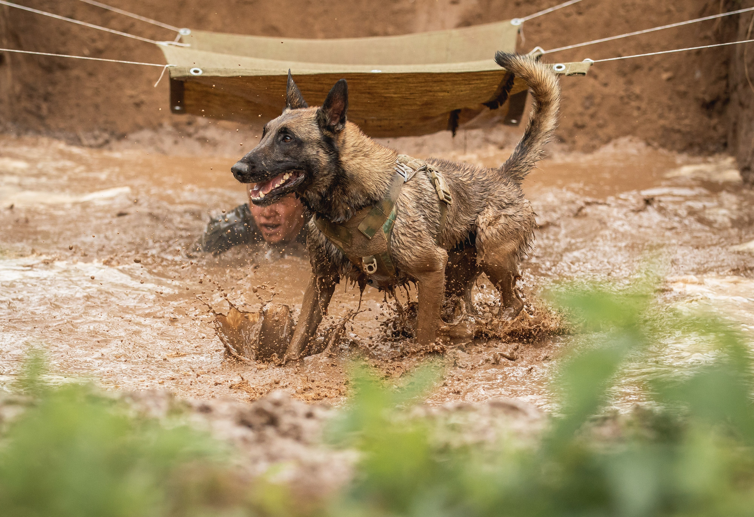 Репортажная съёмка спортивных мероприятий. ESHE_PHOTO Фотограф анималист в Москве и Московской области
