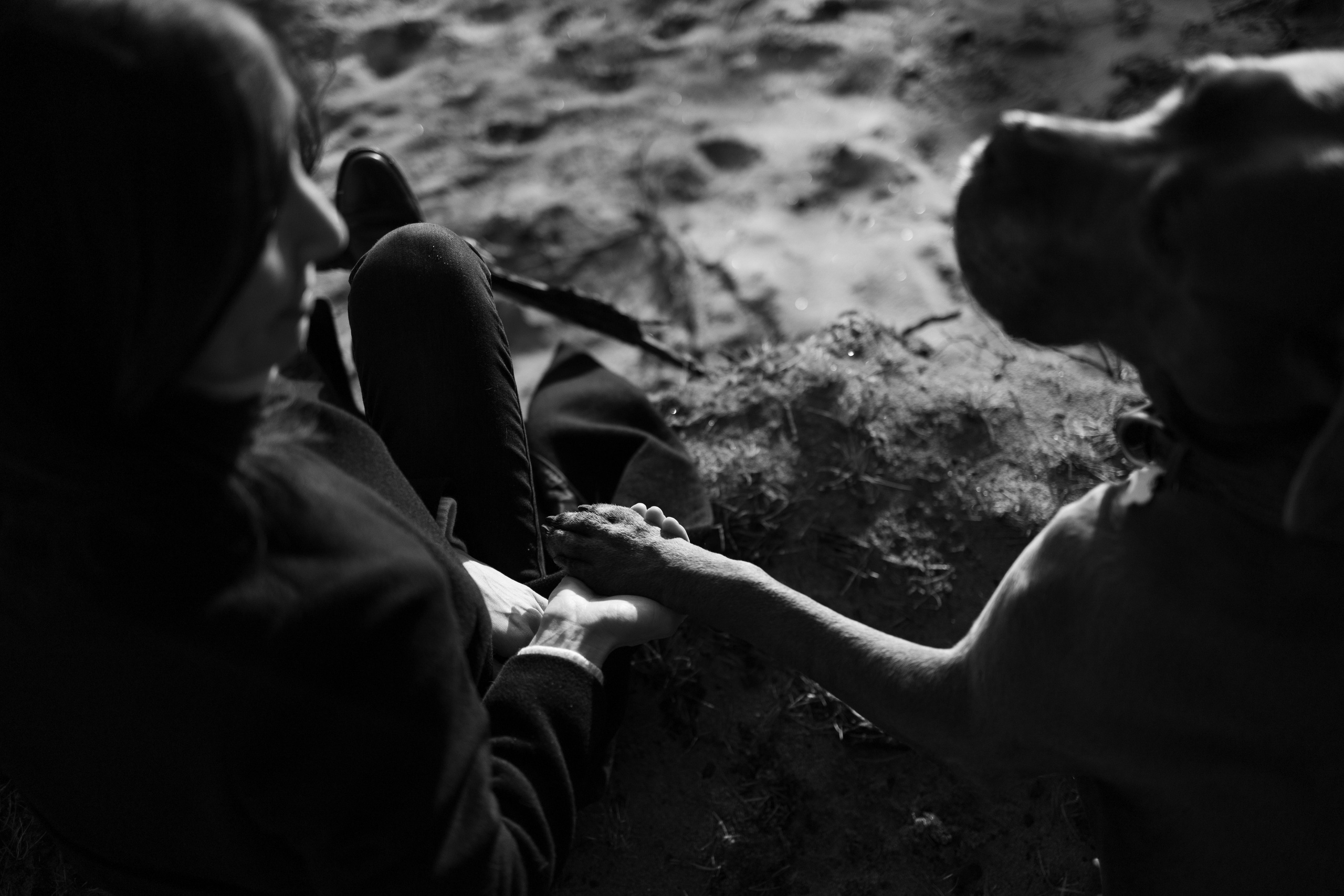 Анна и Лана. Фотограф — Анималист | Санкт-Петербург