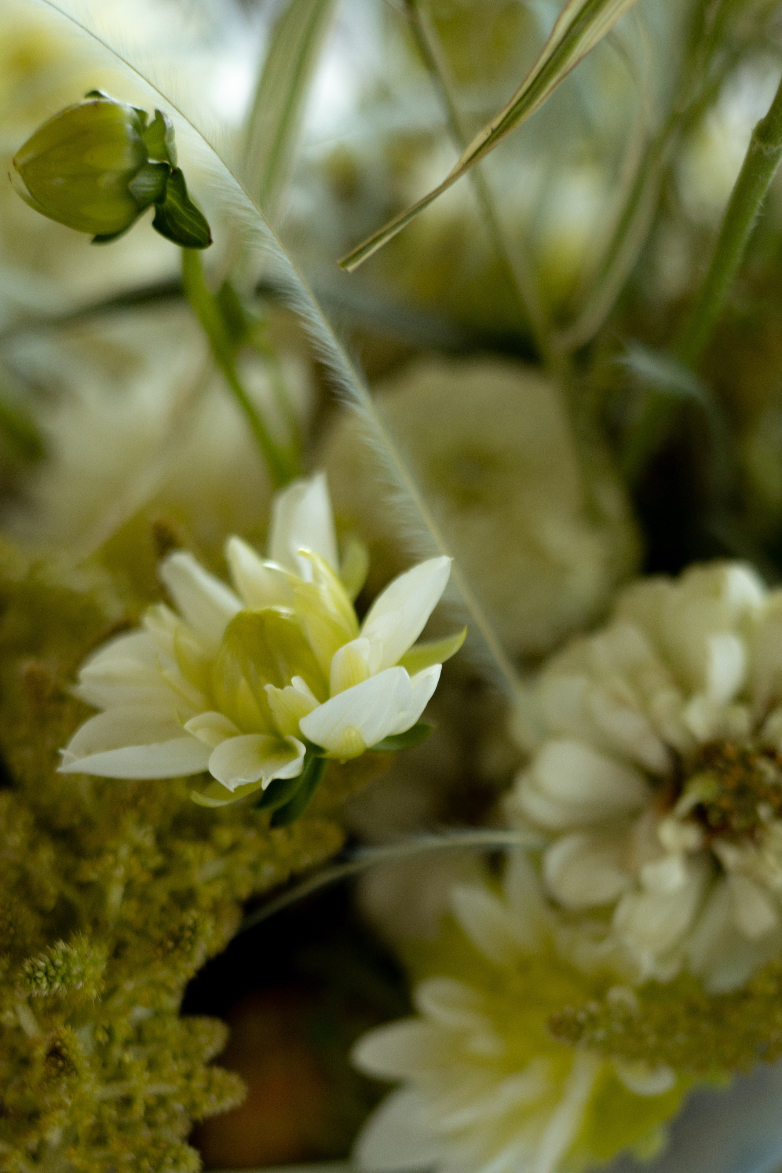 Мужской ДР. Теплоход «Императрица». Оформление свадеб, декор свадеб Вера Маркова, Москва