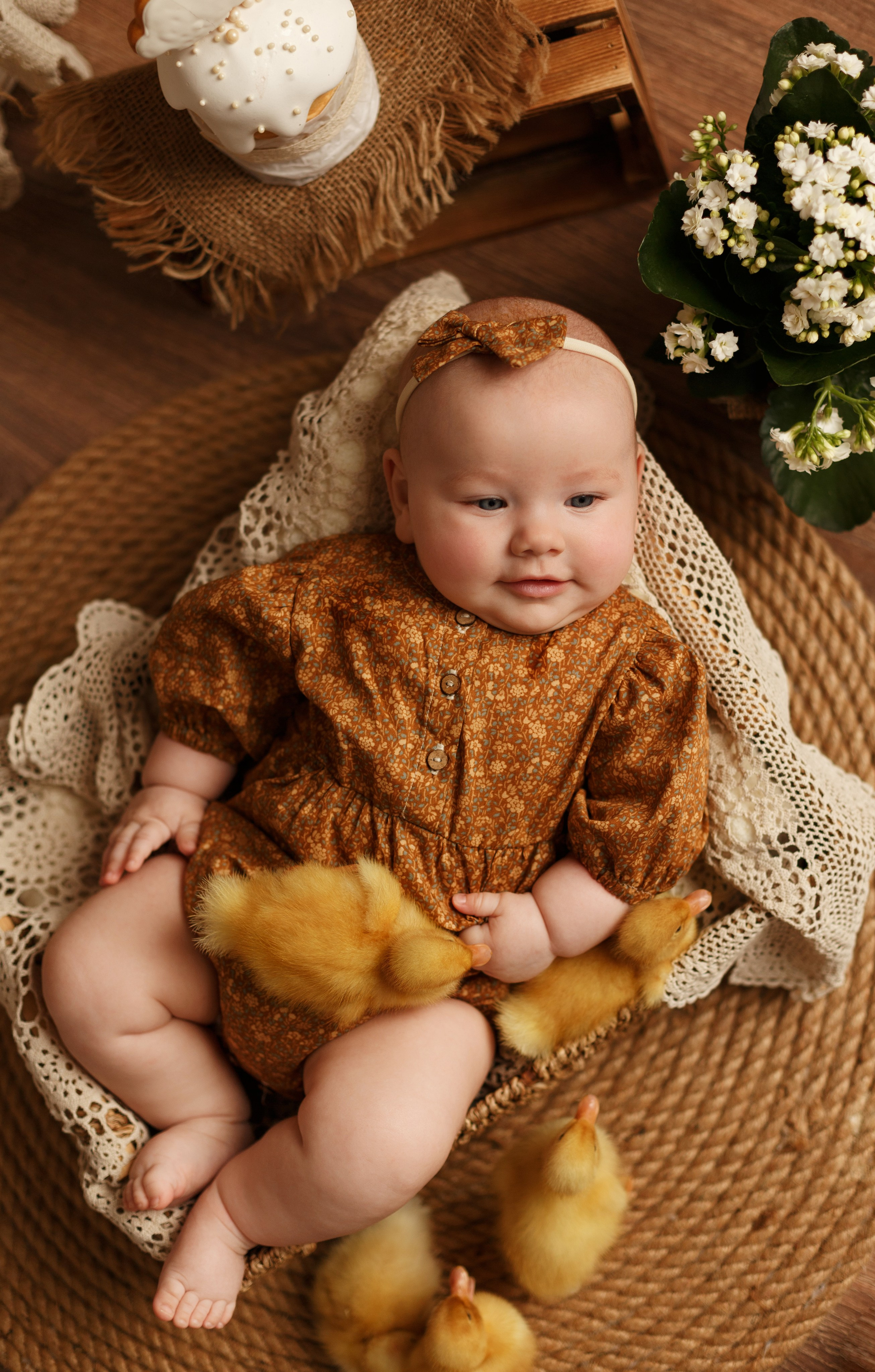 Фотопроекты. Фотограф новорождённых семейный фотограф Томск Елена Каплина