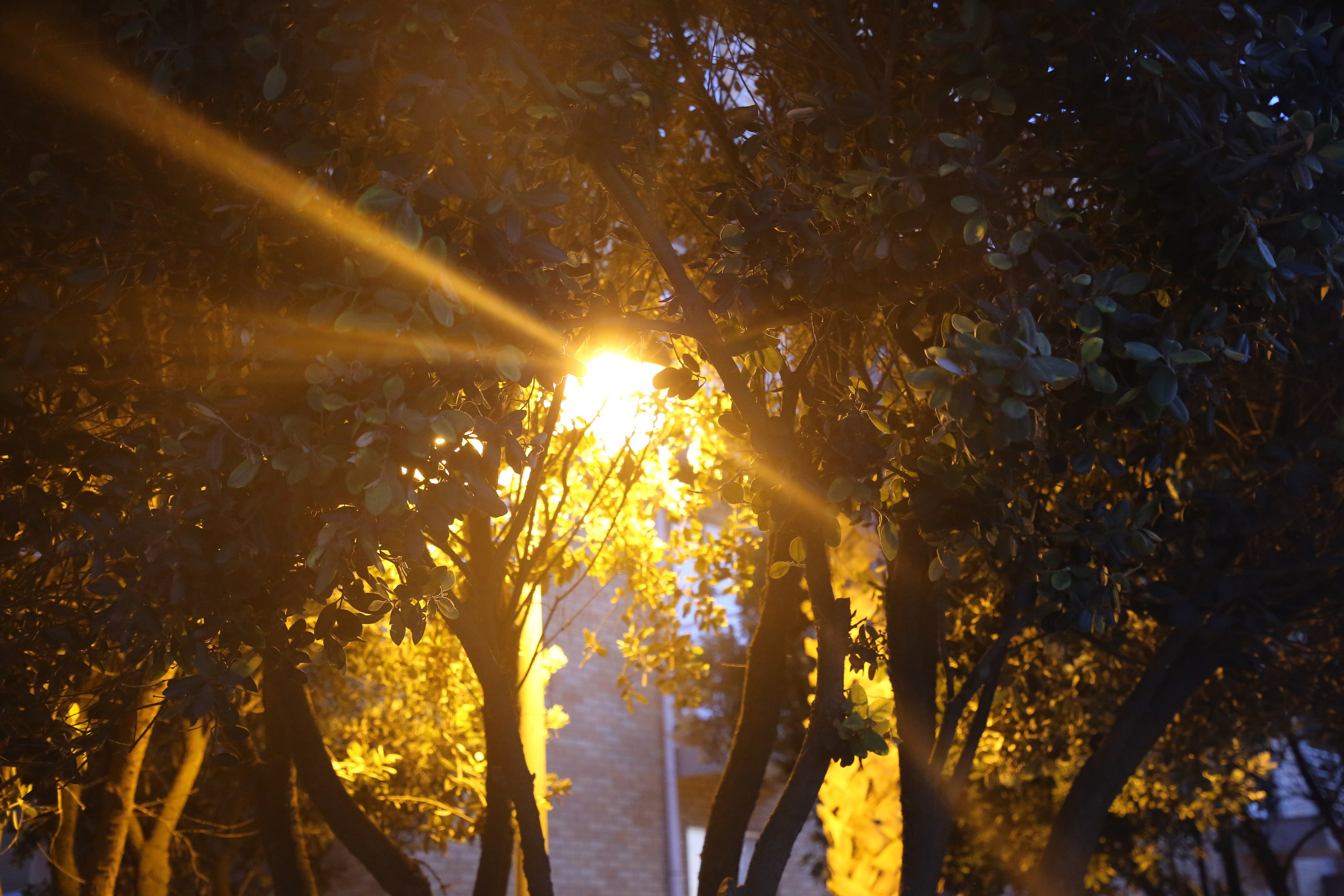 Esmoriz, Portugal. Andrey Filippov Photographer