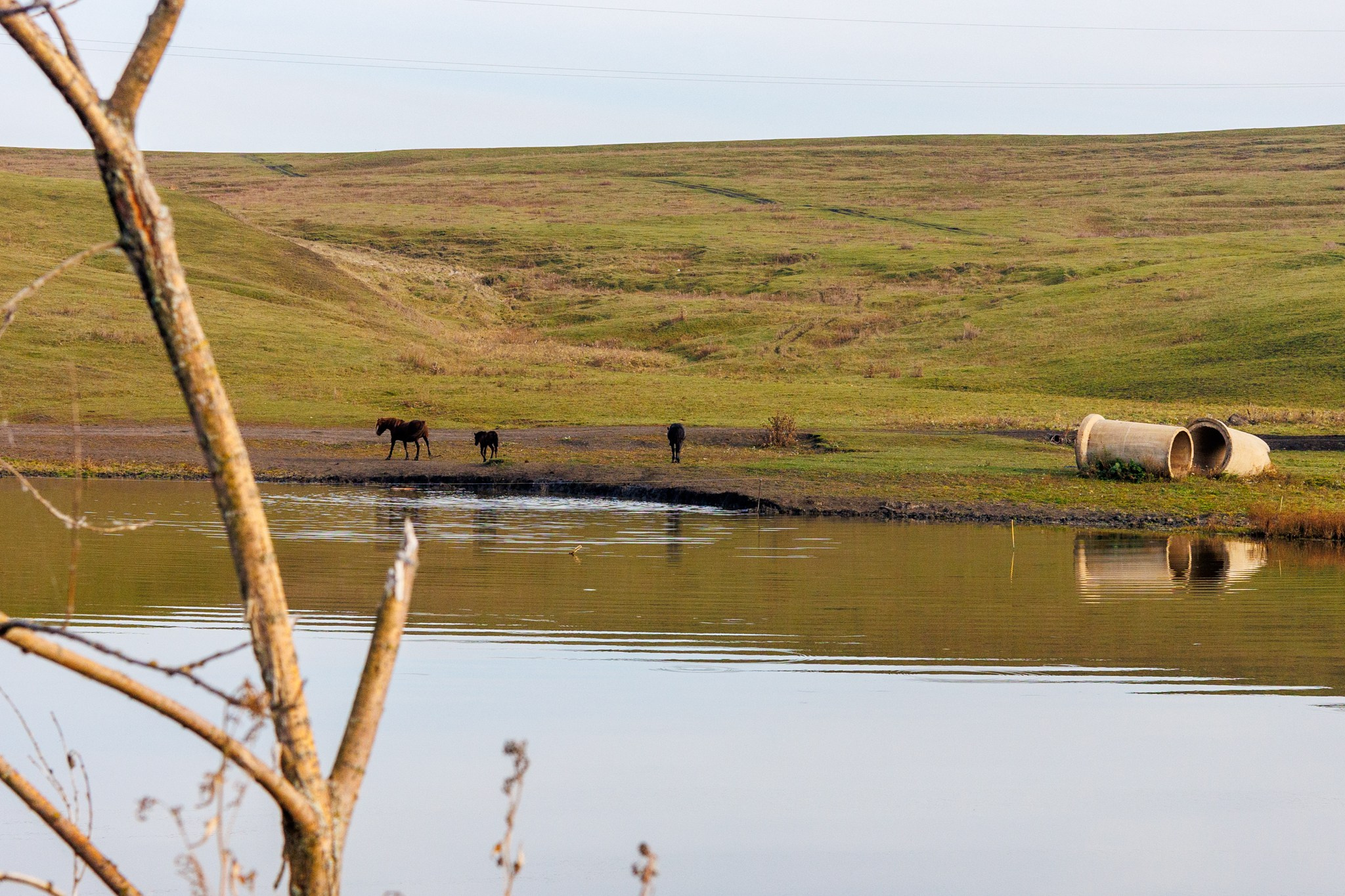 Краснооктябрьский район, 03.10.25