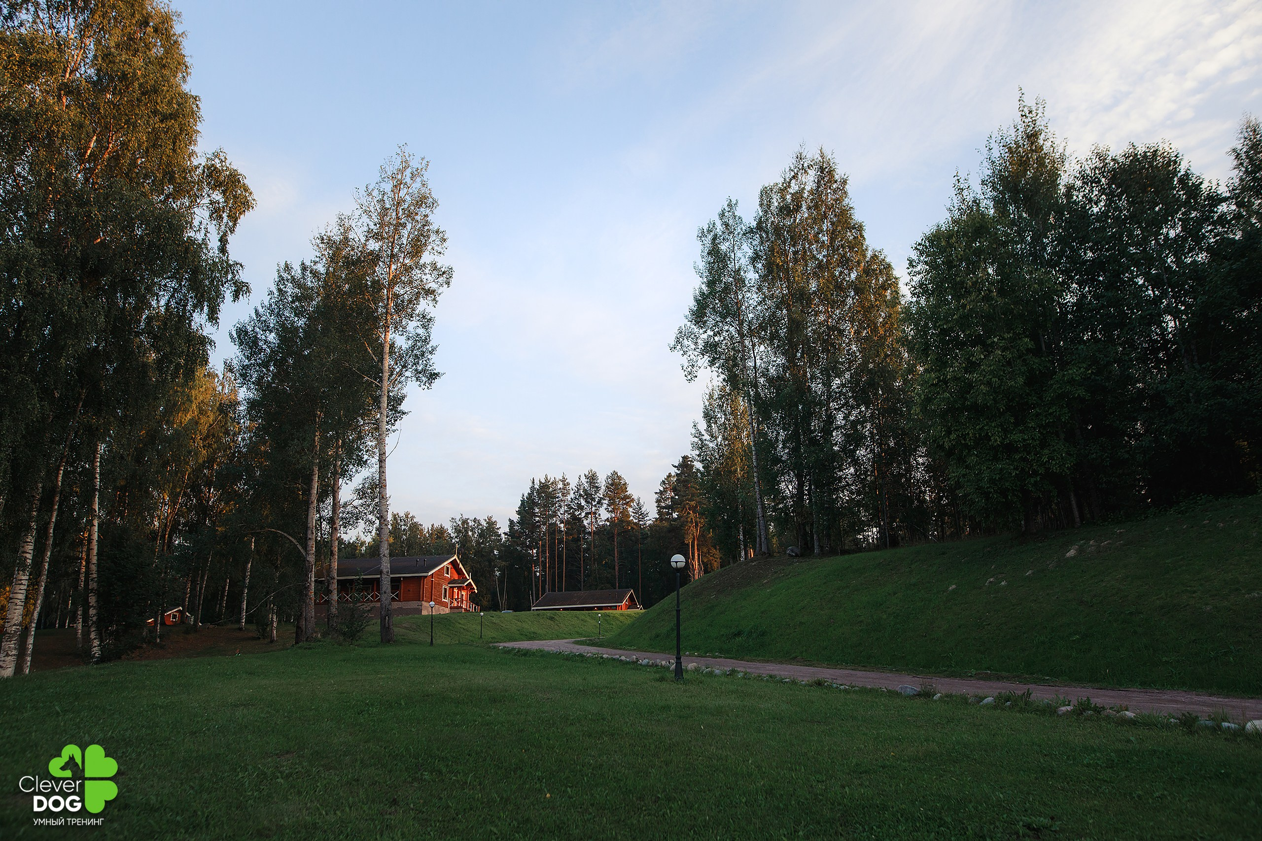 Кинологический лагерь CleverDog, 2024. Фотограф-анималист Mary Mart — Москва, Питер