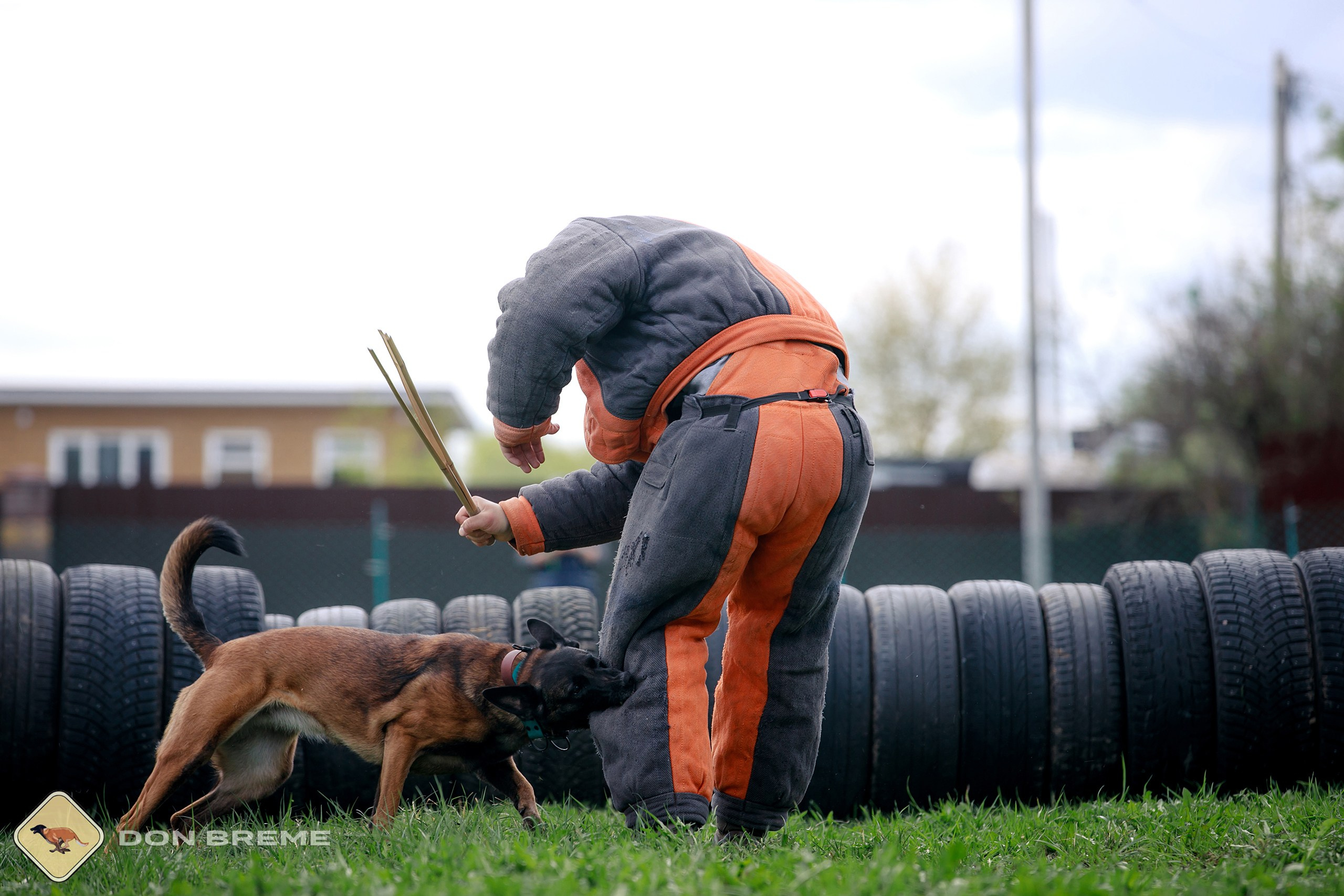 Семинар для фигурантов, день 2. Фотограф-анималист Mary Mart — Москва, Питер